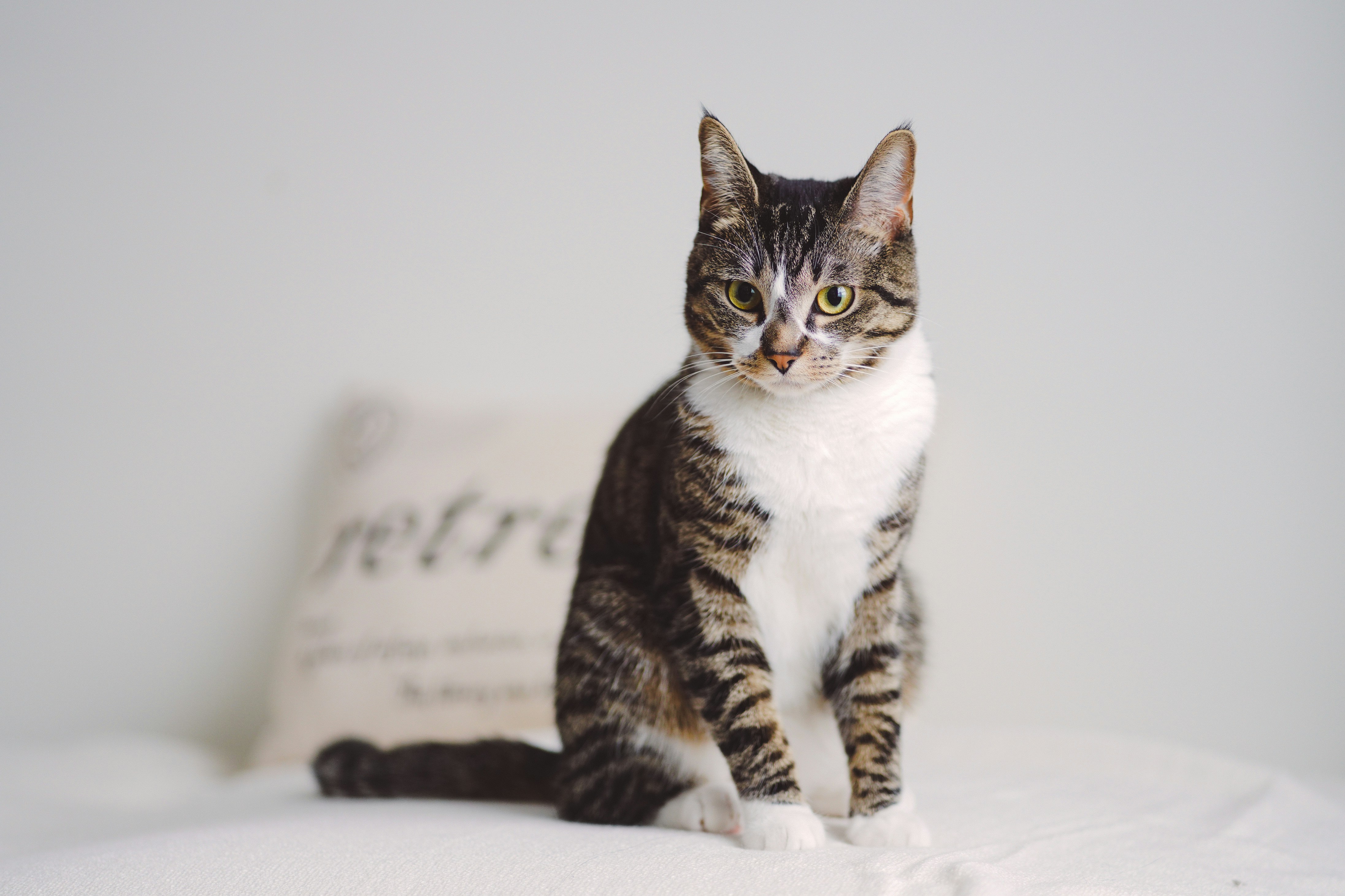 Photo by evphotography