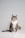 a cat sitting on top of a bed next to a pillow