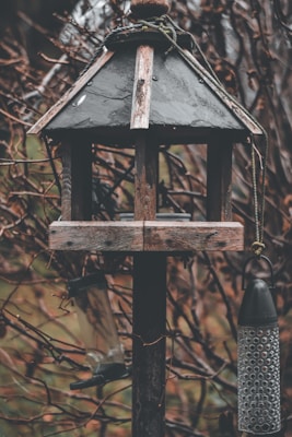 A rustic birdhouse is perched on a tall, weathered wooden post. The structure is surrounded by bare, twisted branches, giving a sense of natural simplicity. Two bird feeders hang from the birdhouse, one made of clear plastic and the other with a black top and metallic body.
