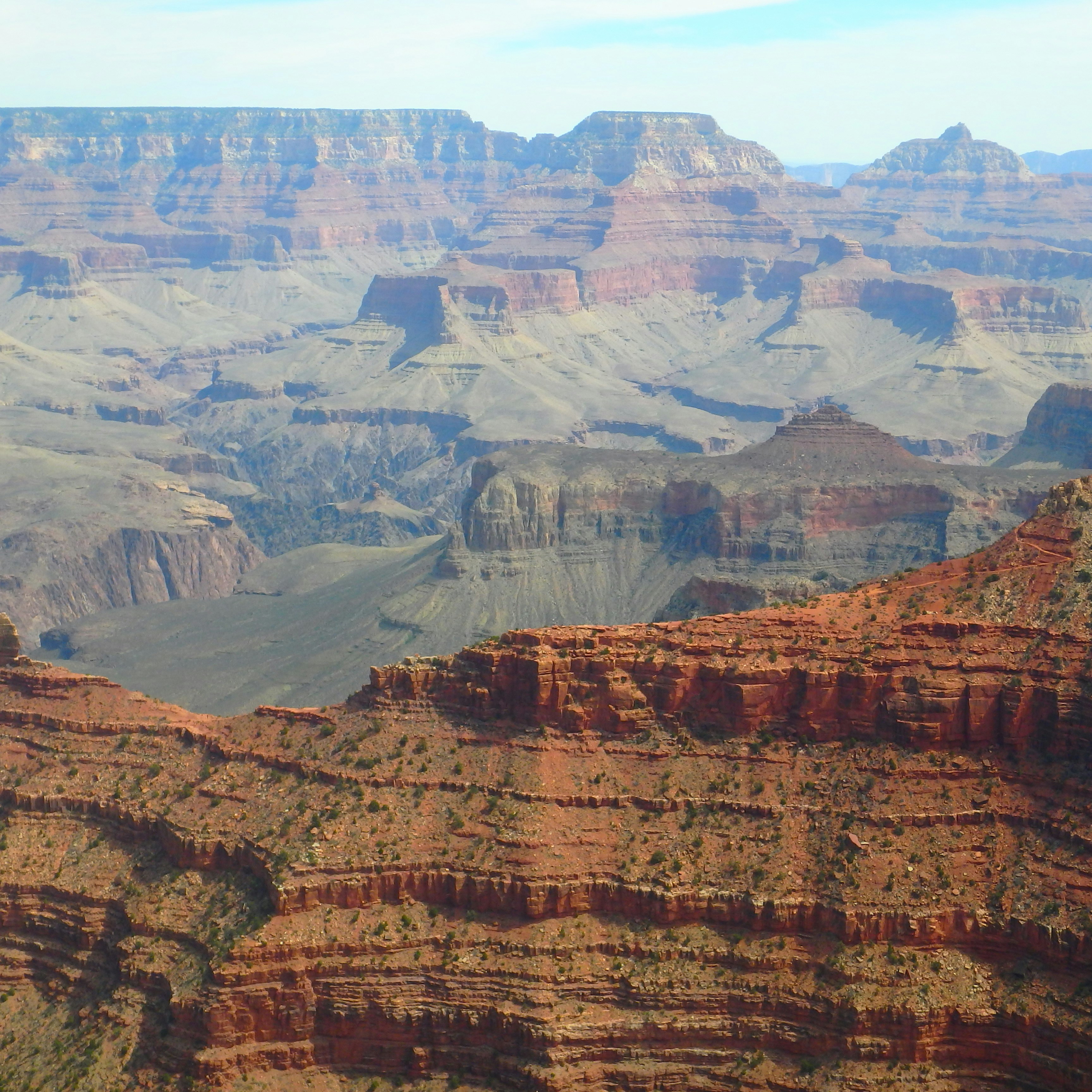 Photo by merrittebrown