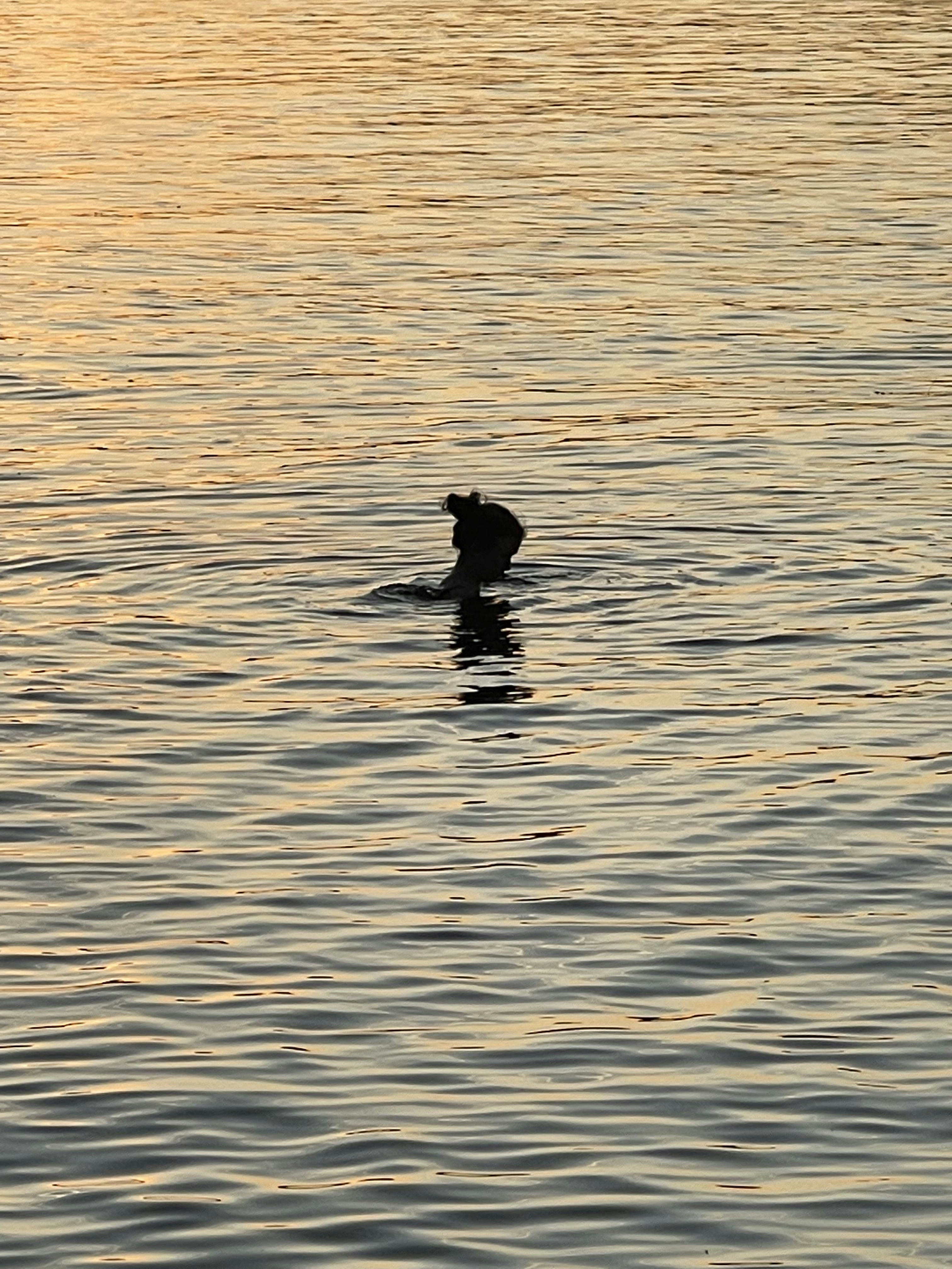 Photo by zachparrish