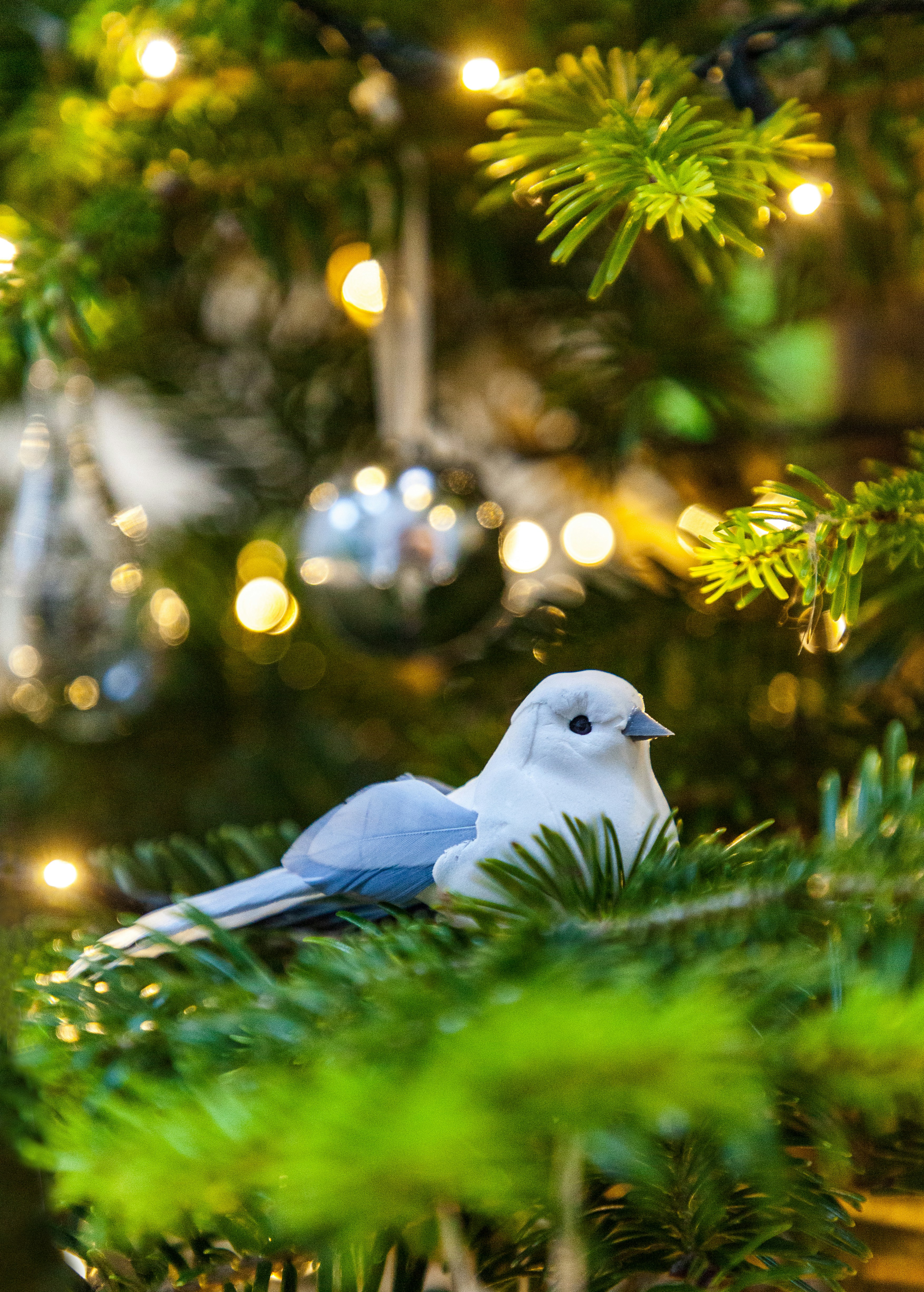 a blue and white bird sitting in a christmas tree