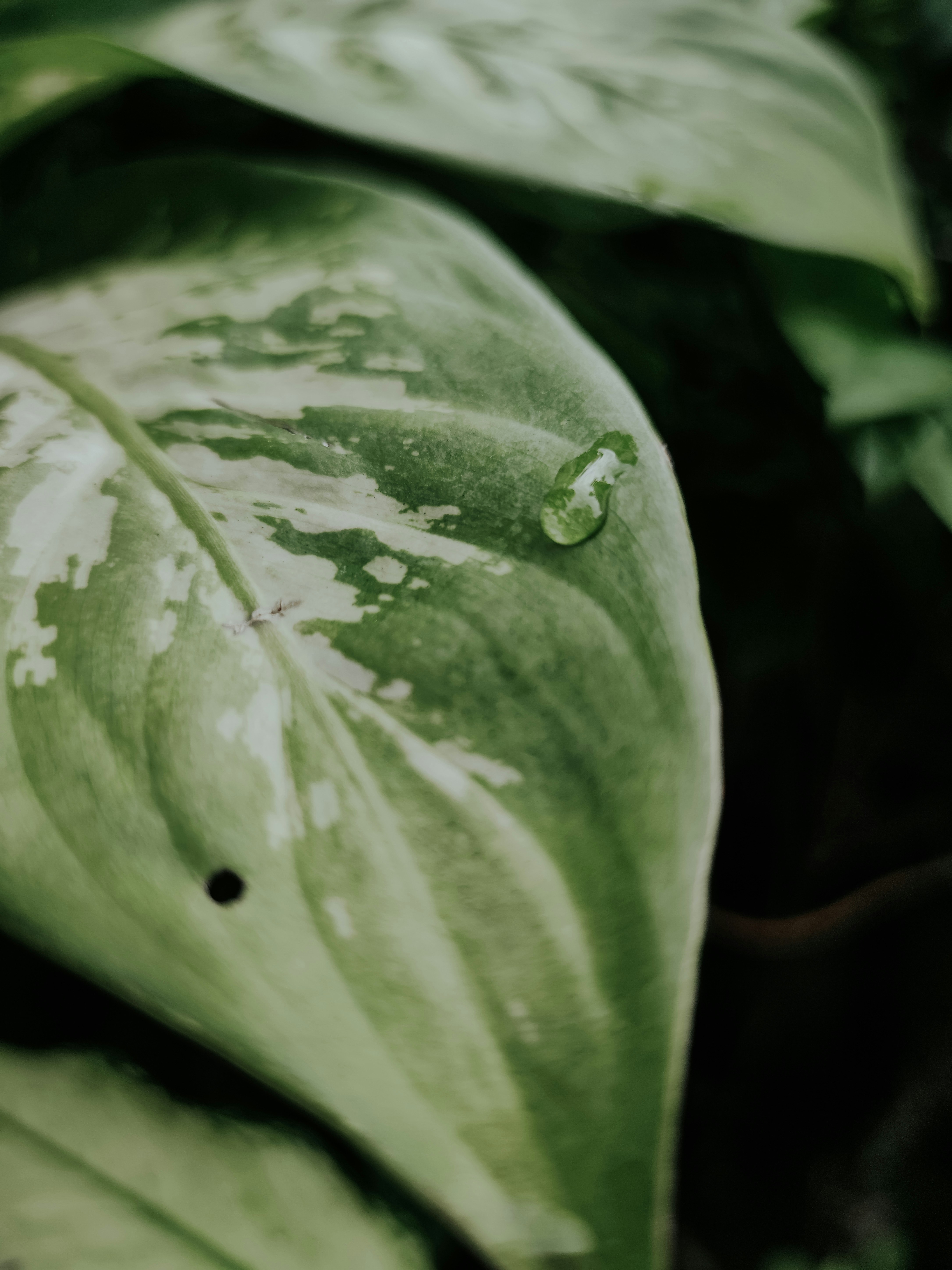 Micro‑Drop Economics for Pin Makers in 2026: Membership Bundles, Collector Boxes and Inventory‑Light Launches