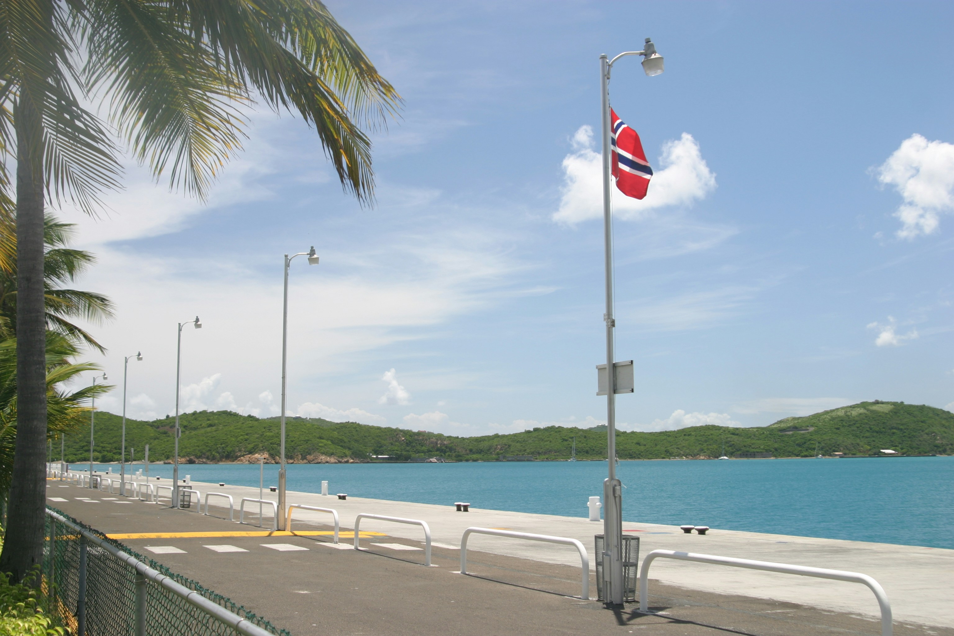 a flag on a pole next to a body of water