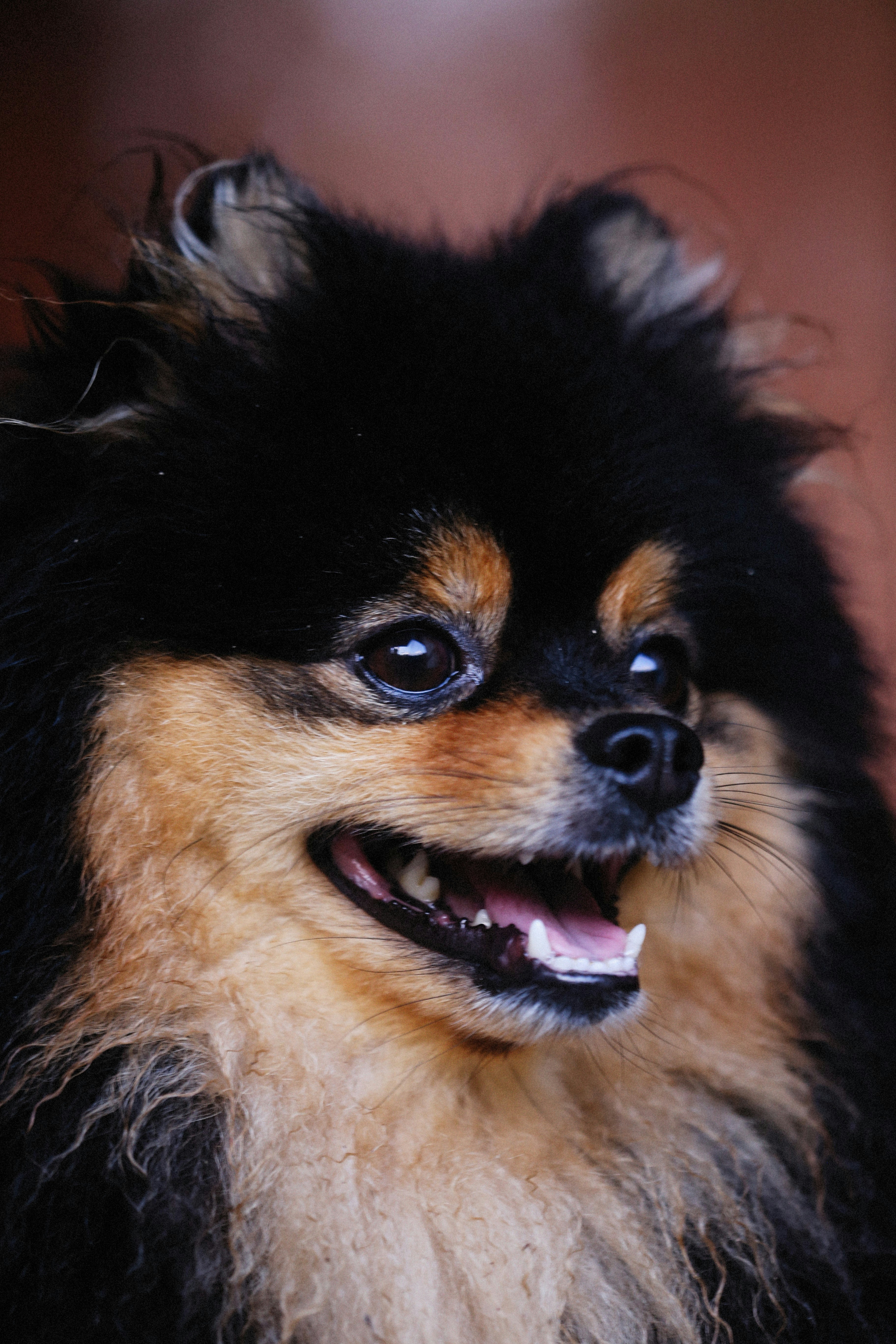 Photo by alexeydemidov