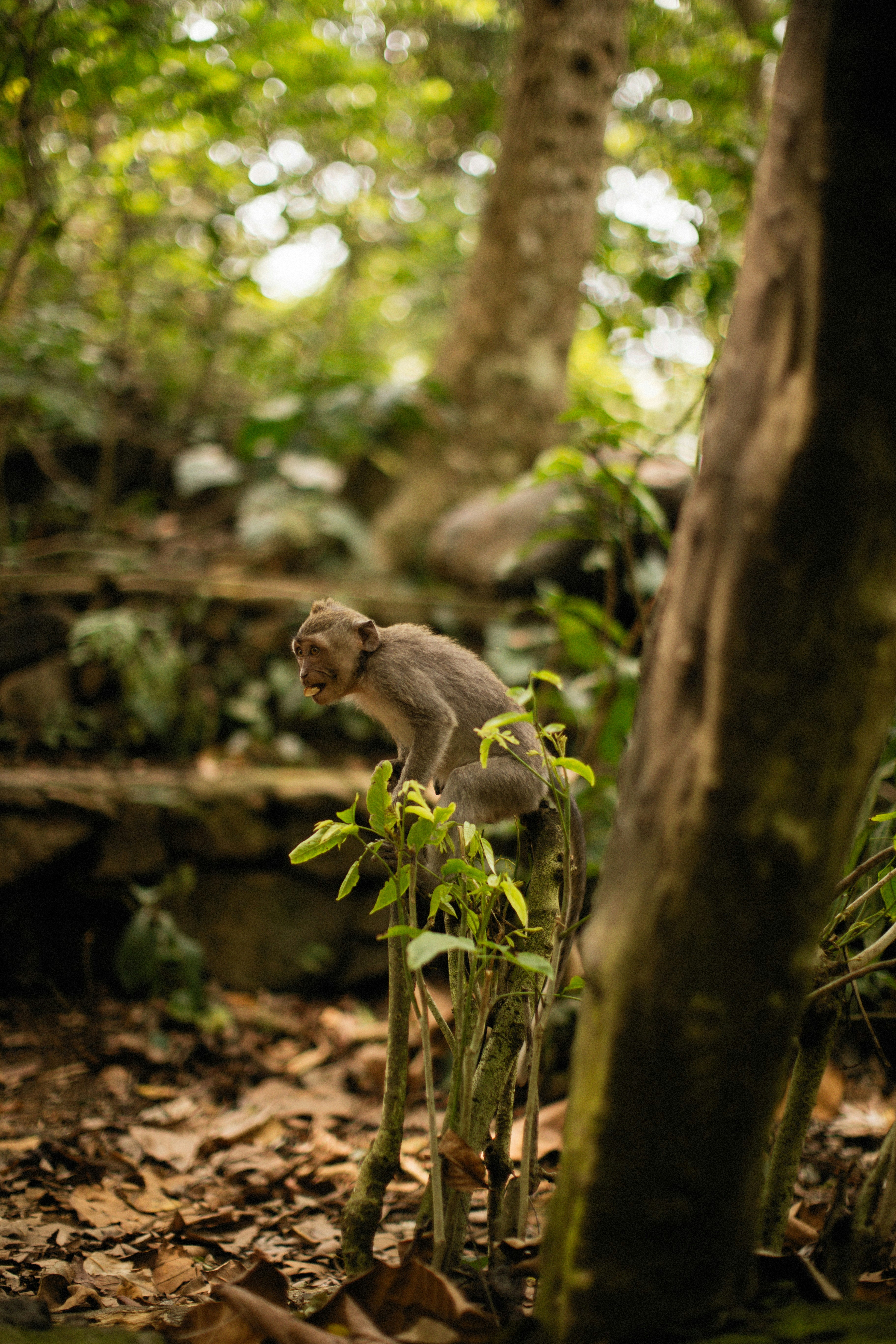 Photo by alexeydemidov