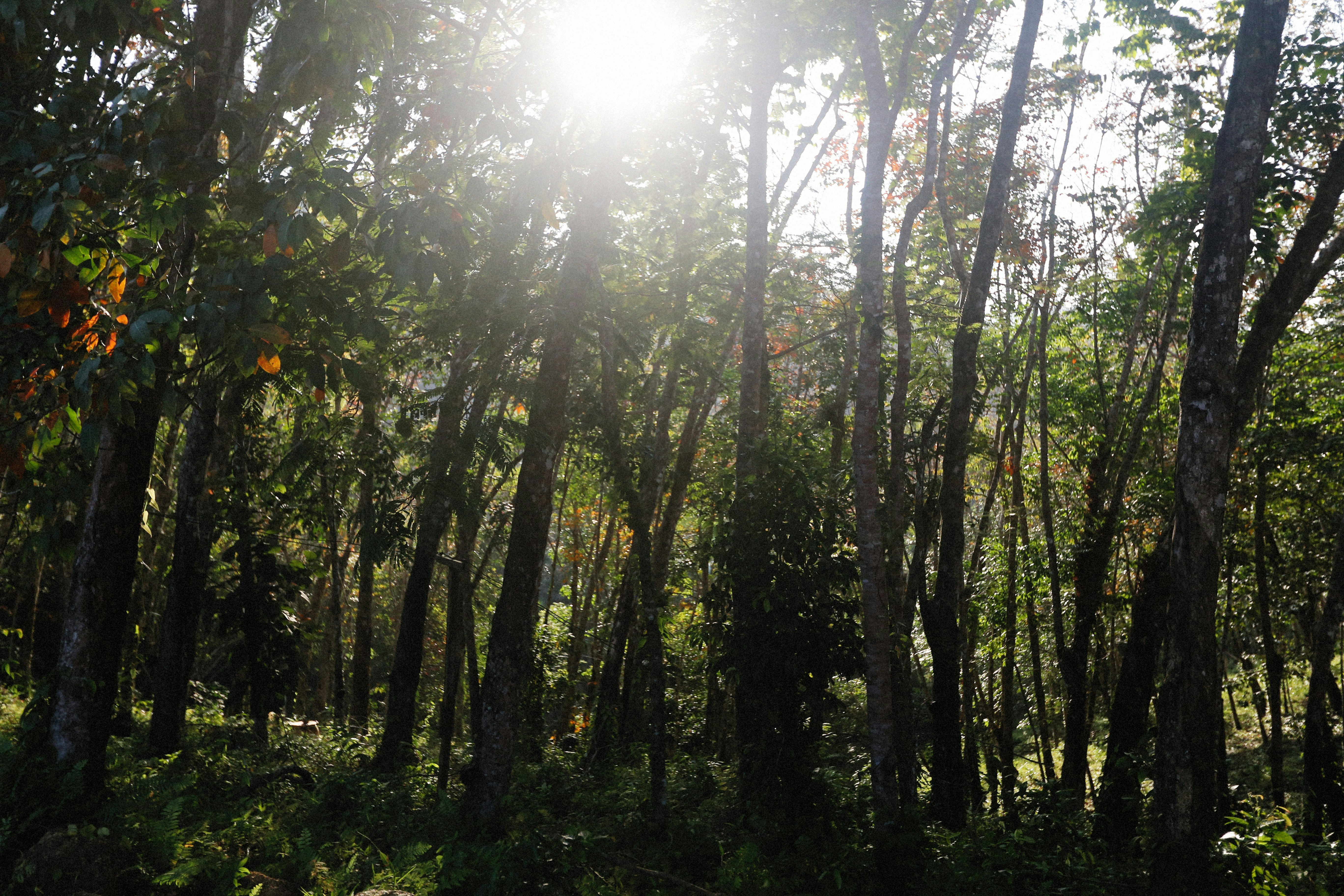 Photo by alexeydemidov