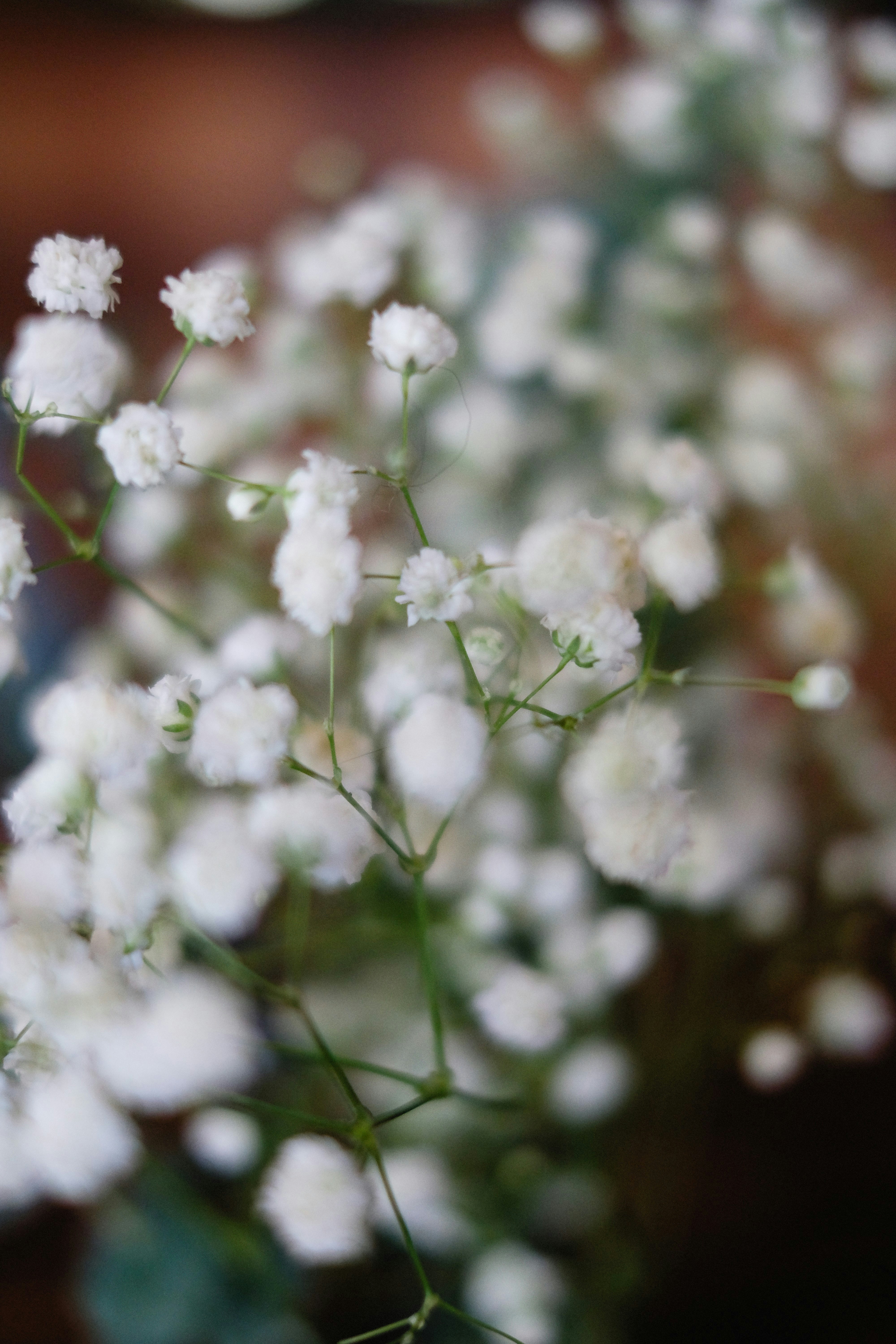 Photo by alexeydemidov