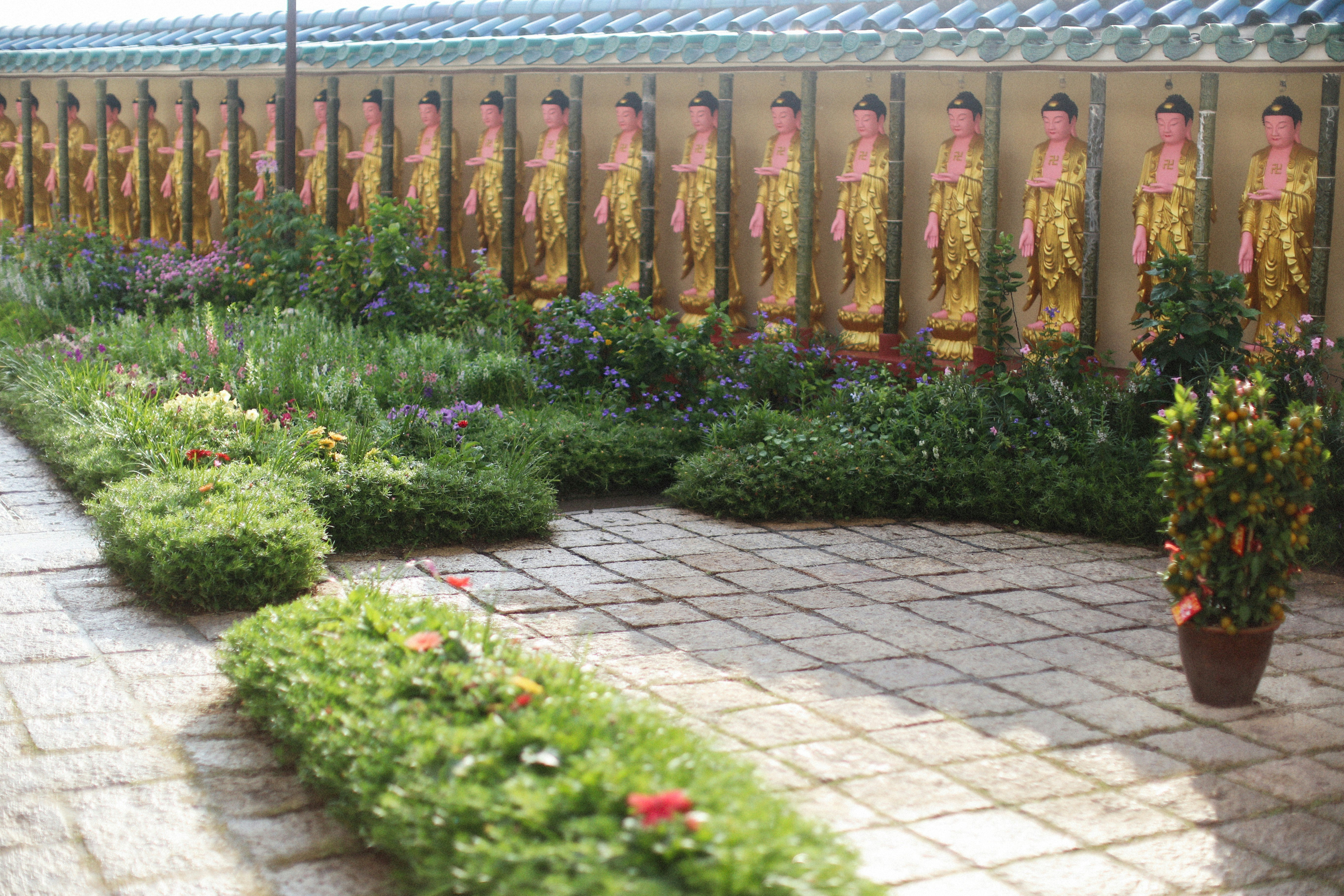 decor image