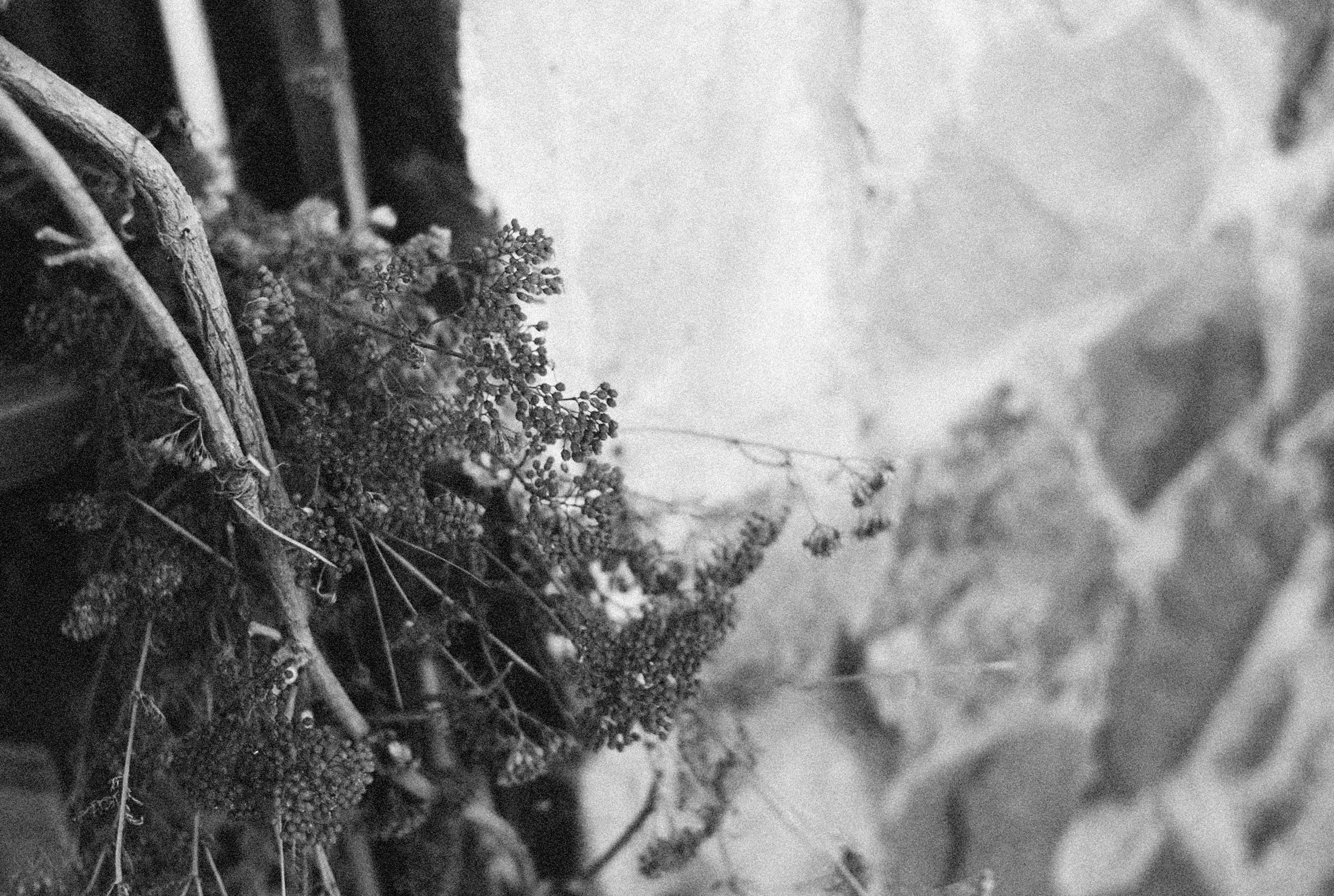 Photo by alexeydemidov