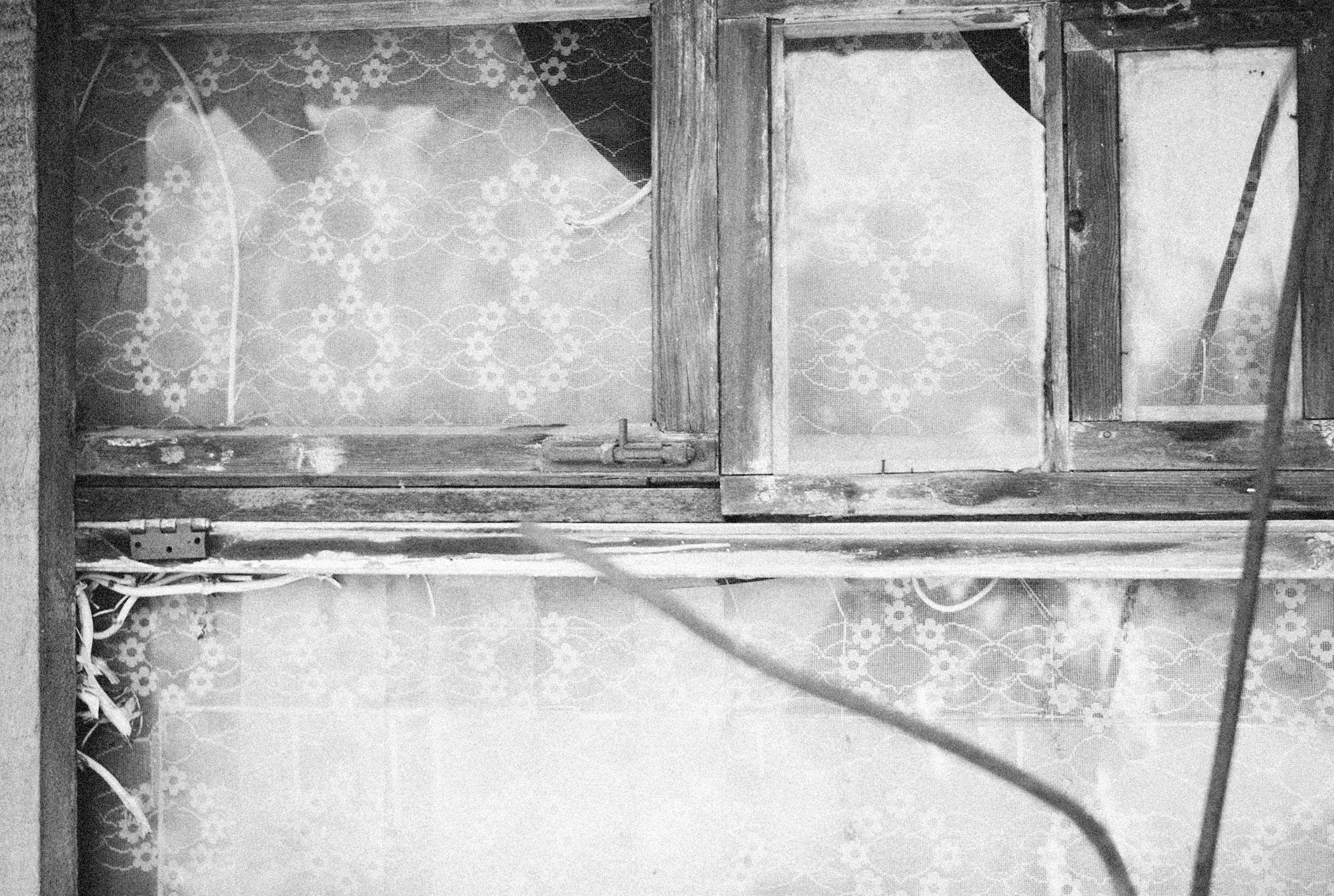 Photo by alexeydemidov