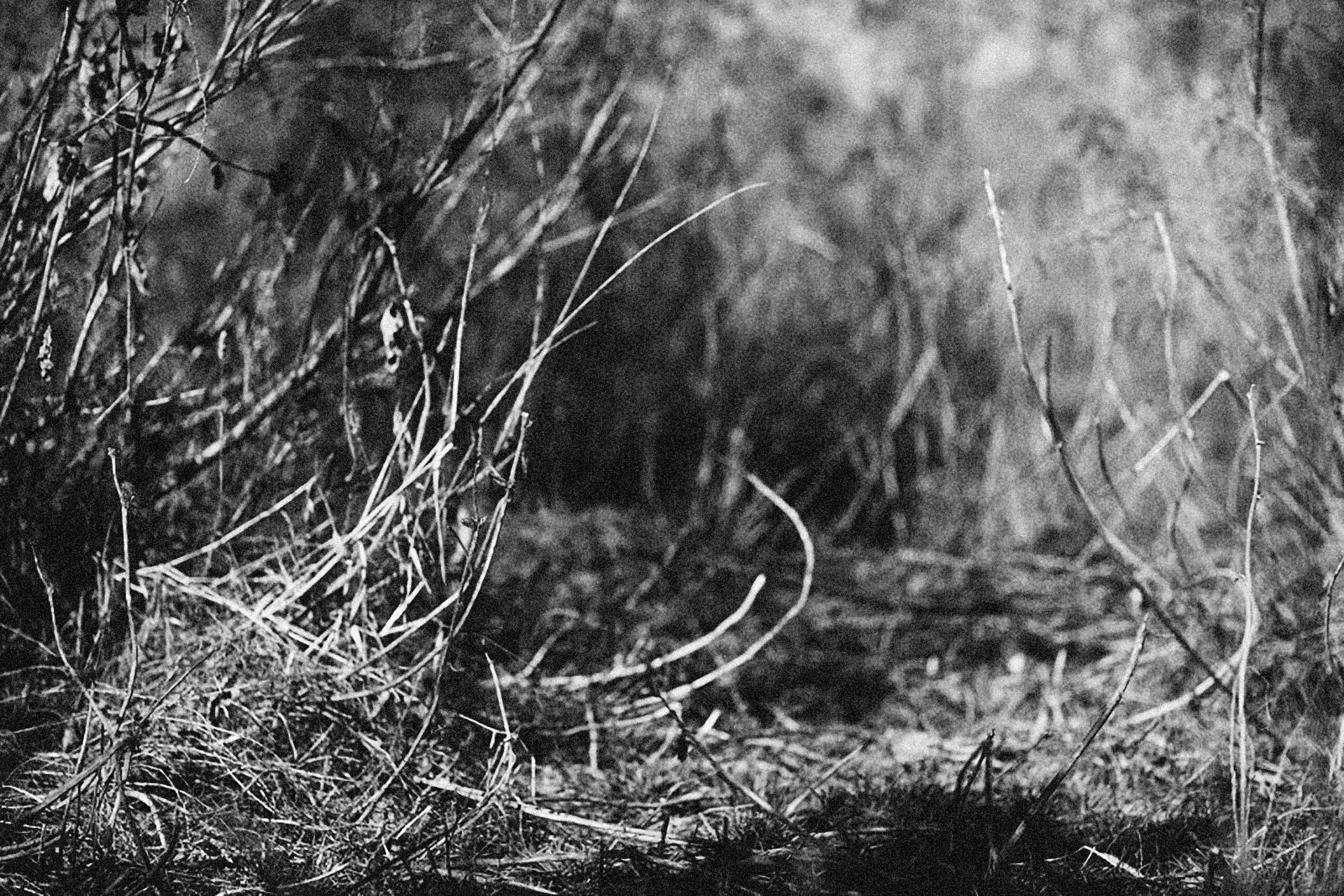 Photo by alexeydemidov