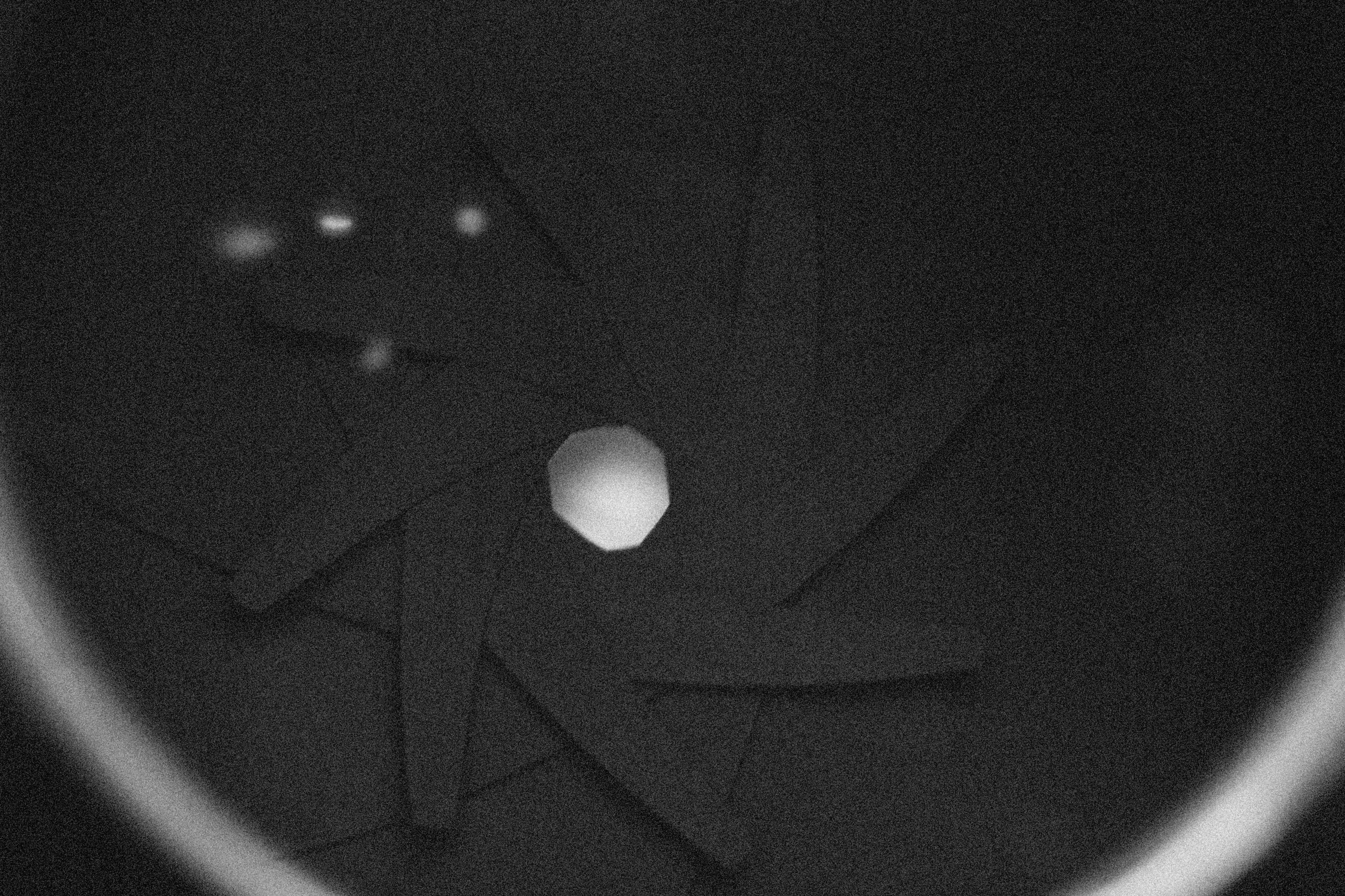 Photo by alexeydemidov