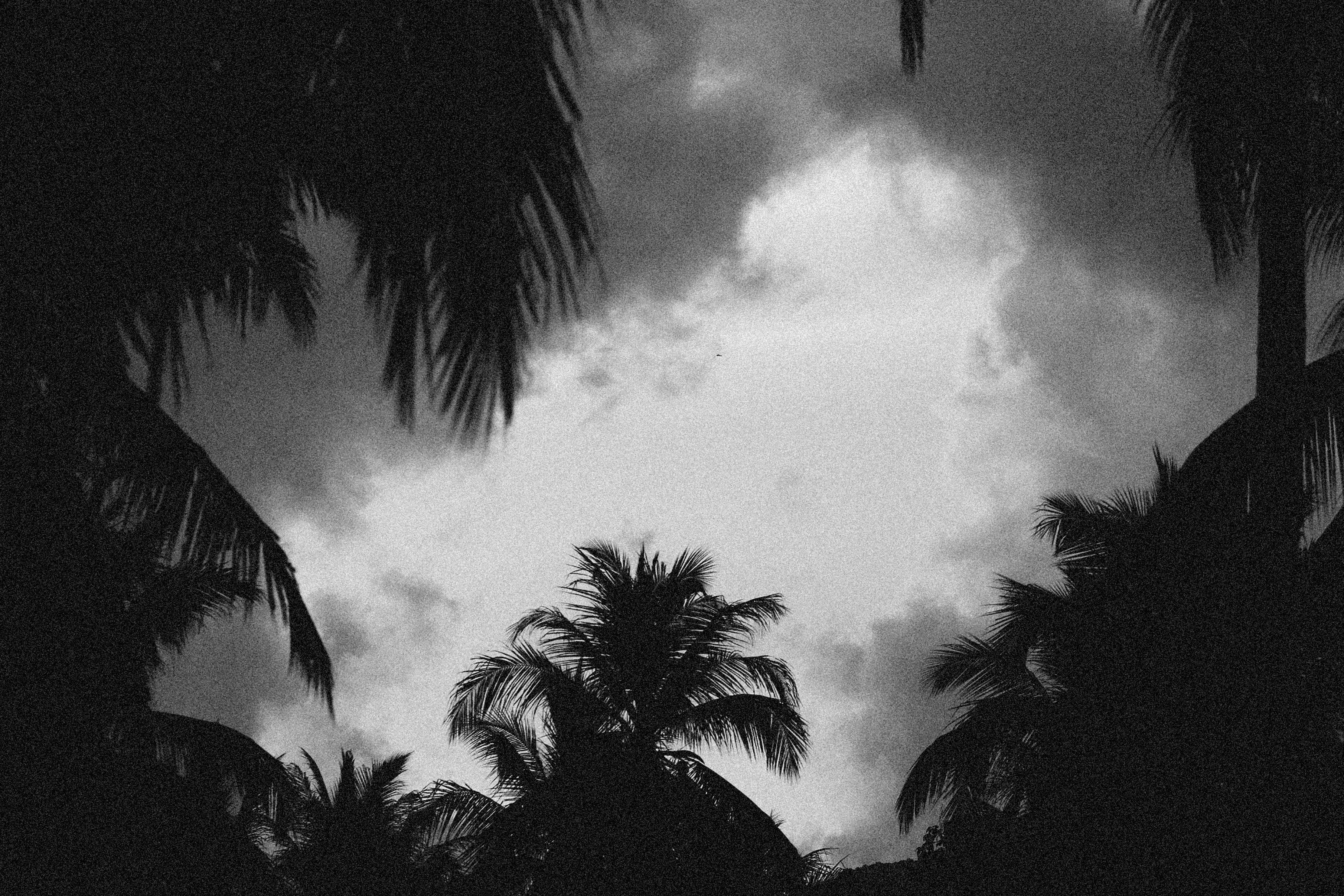 Photo by alexeydemidov