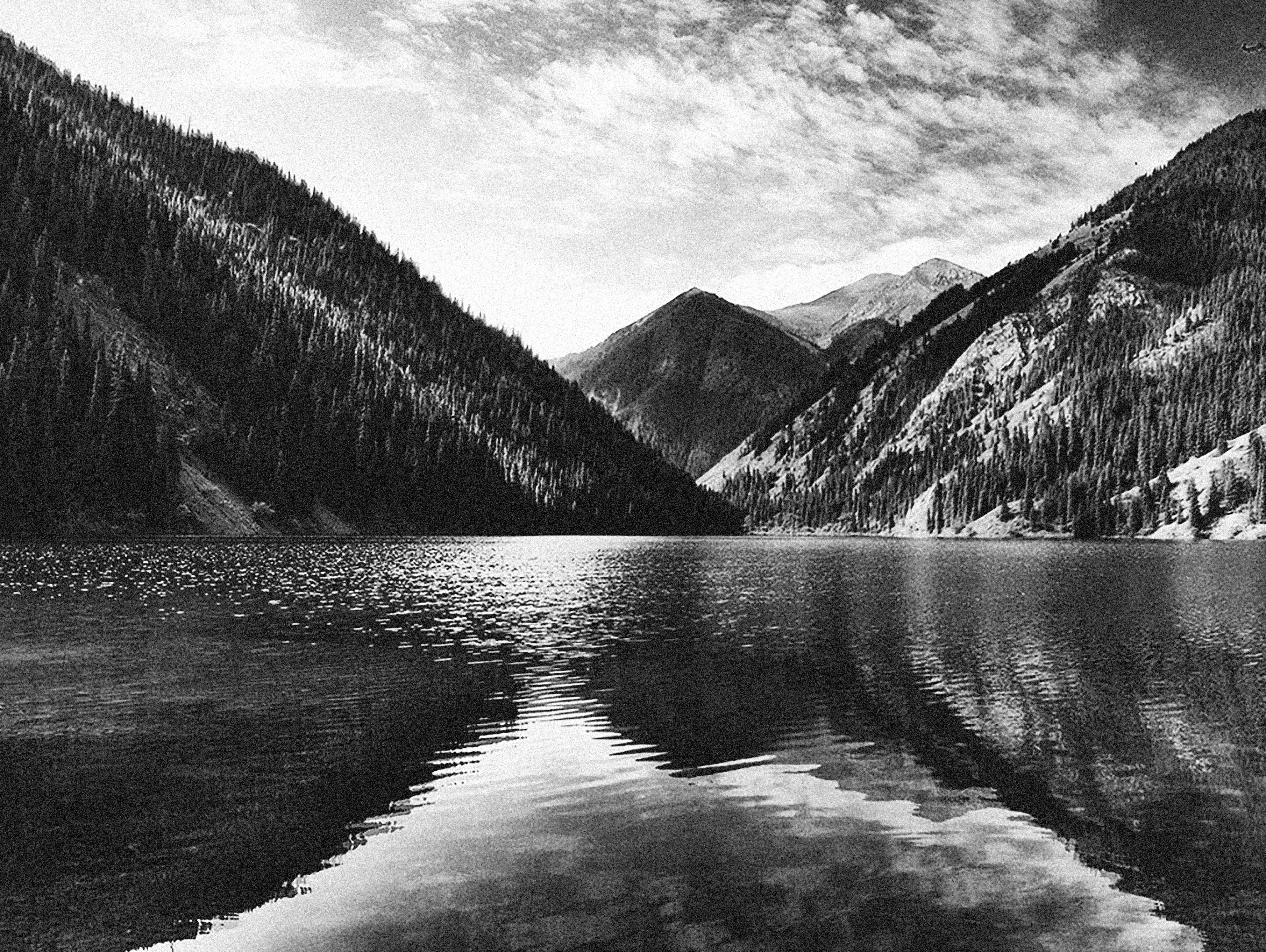 Photo by alexeydemidov