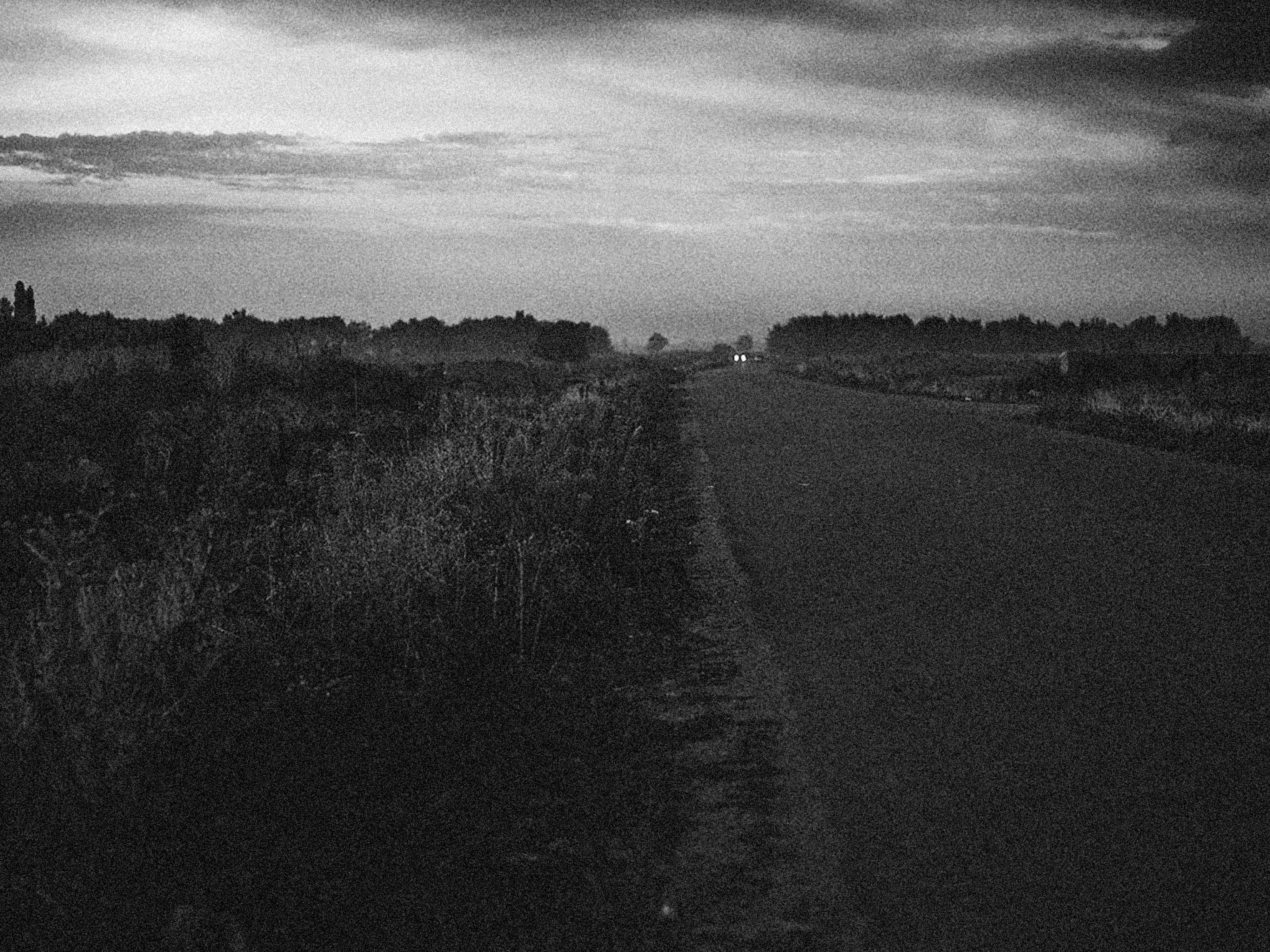 Photo by alexeydemidov