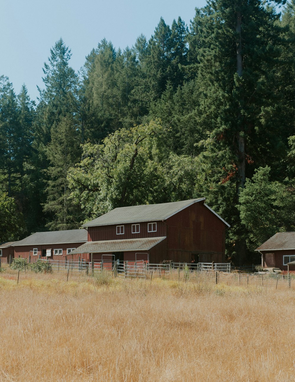 a couple of red barns sitting next to a forest