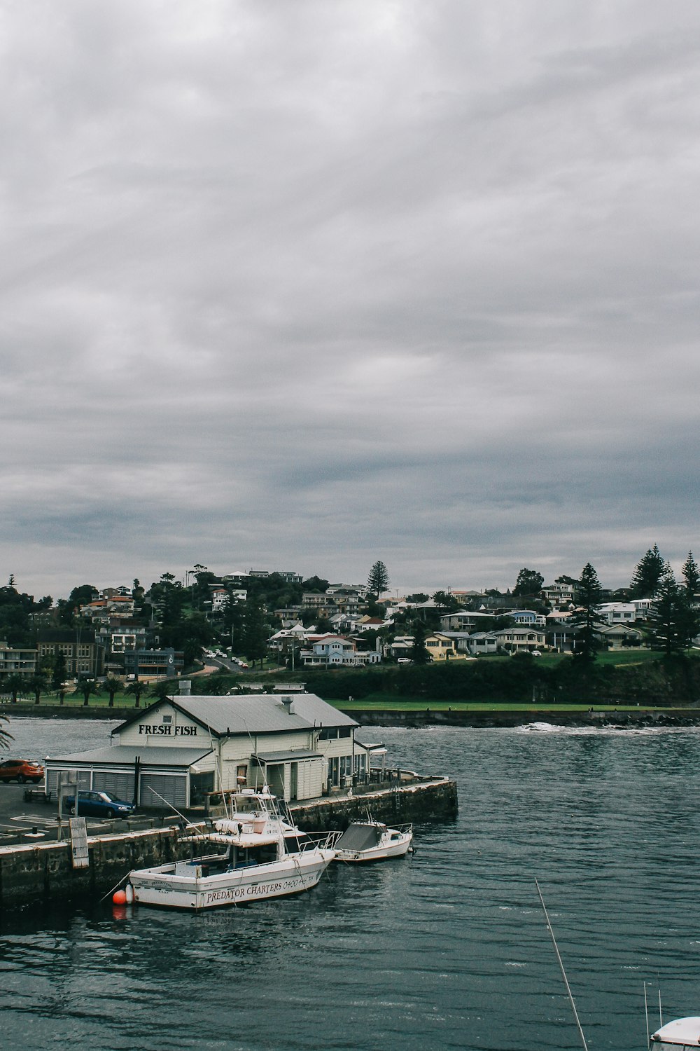 a couple of boats that are in the water