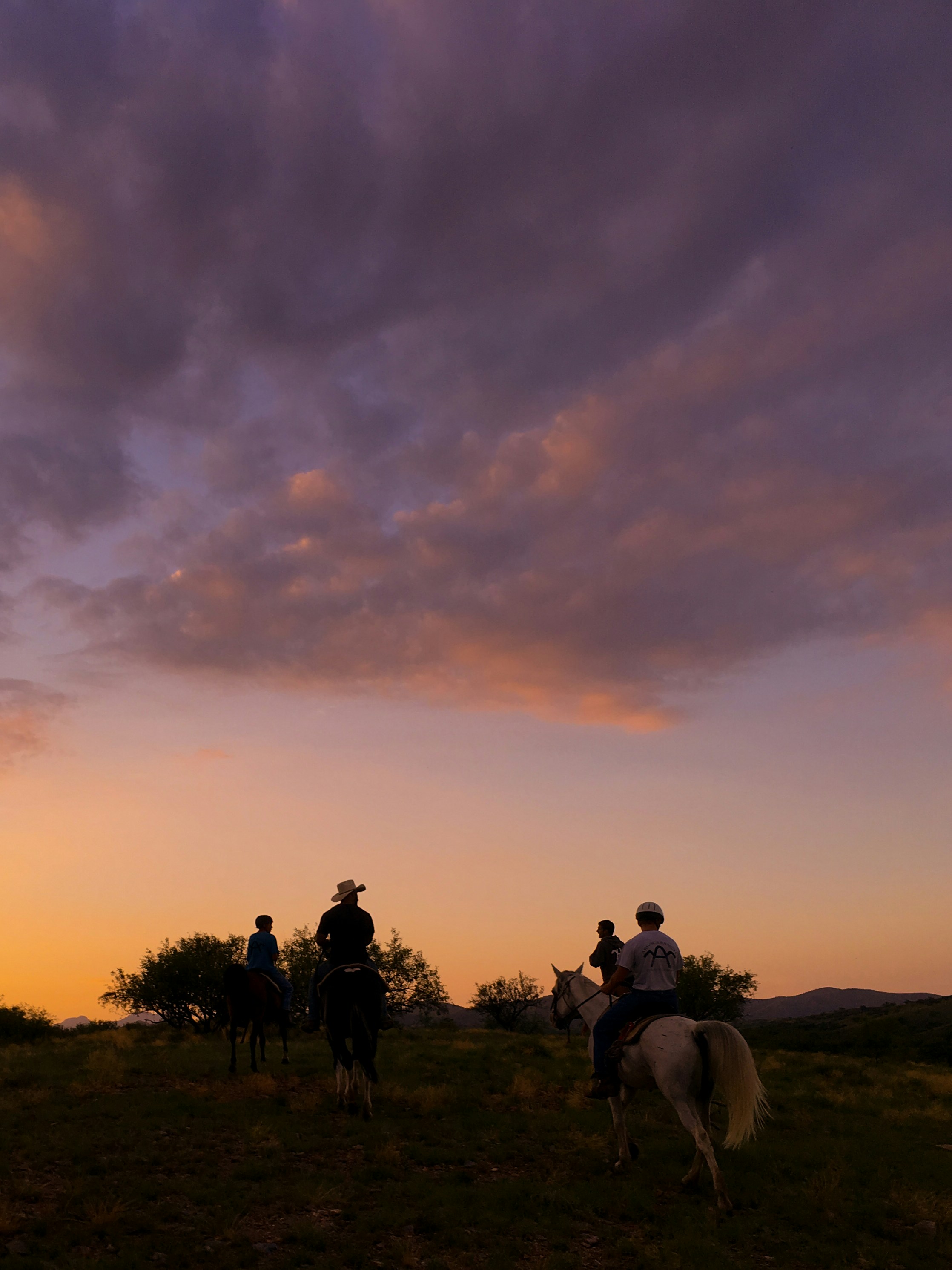 Market Call: The Wild Bunch