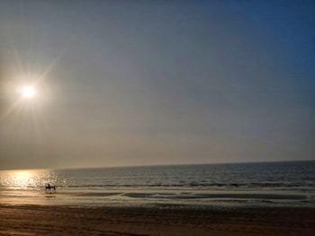 Photo 1640406576140 Ad21f71dd389?q=85&w=350&h=300&fit=crop