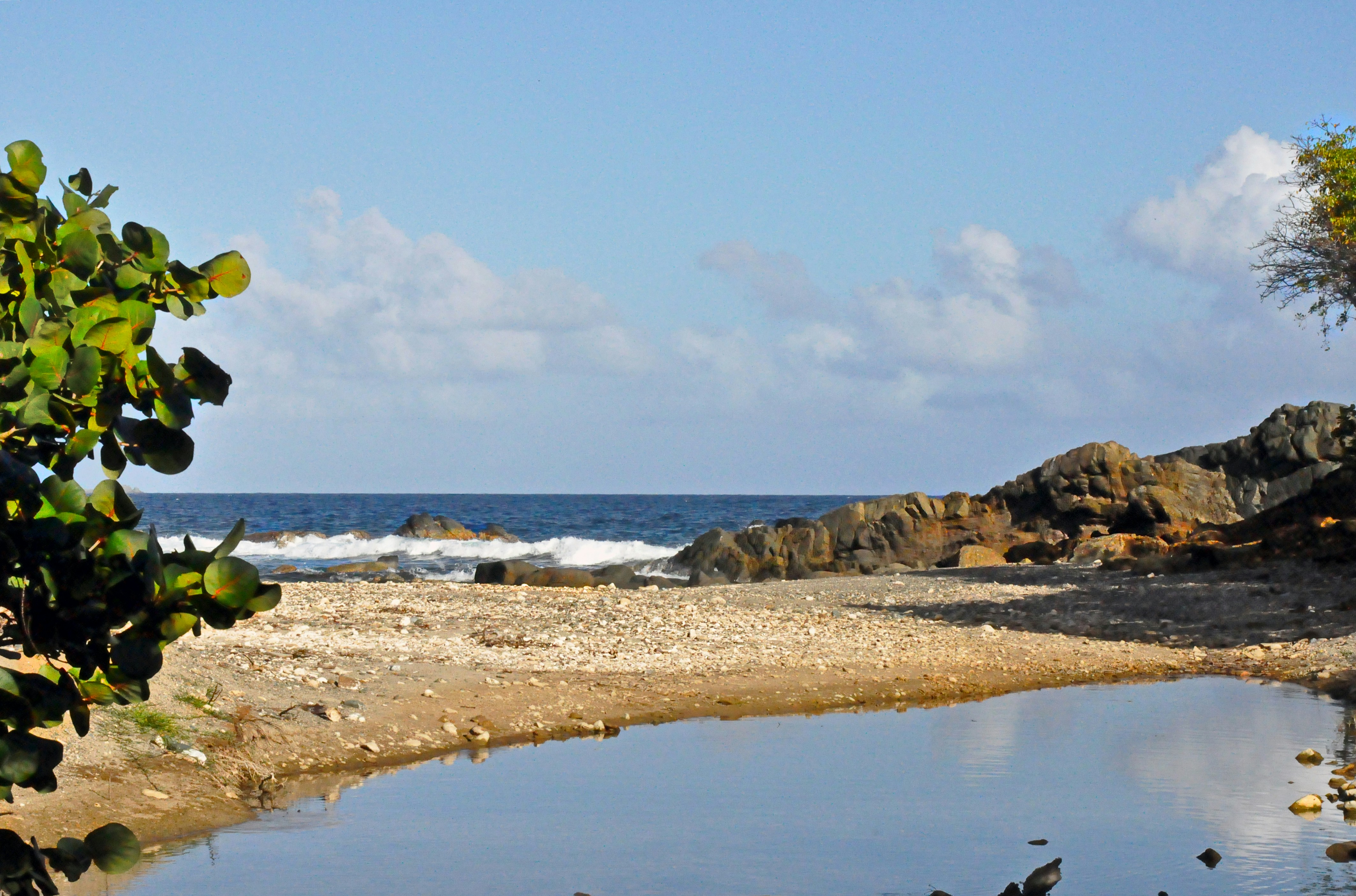 a body of water surrounded by rocks and trees