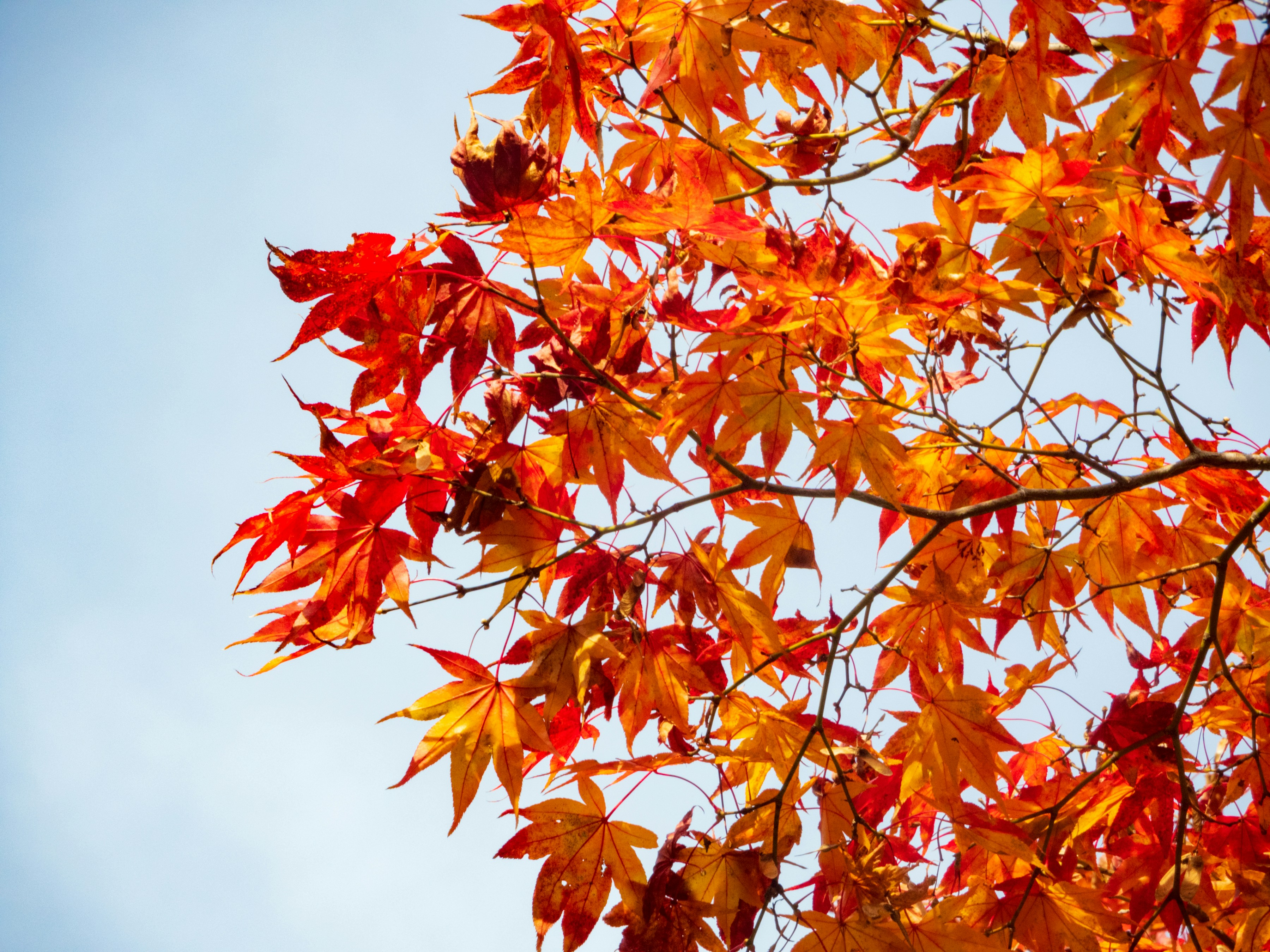 Photo by heppoko_yama