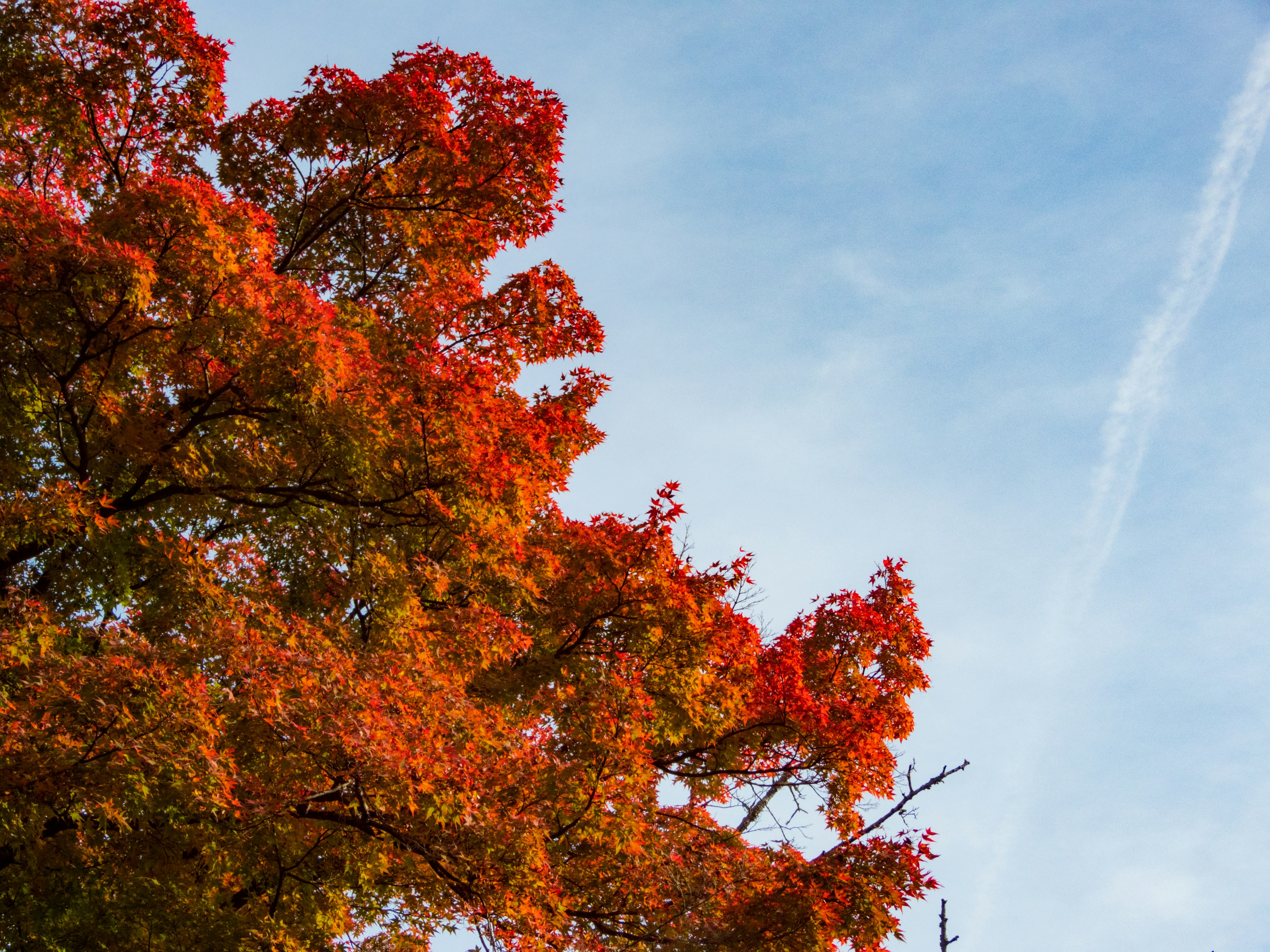 Photo by heppoko_yama