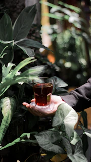 Close-up of a hand pouring rich red juice into a matte forest green cup, highlighting natural textures.