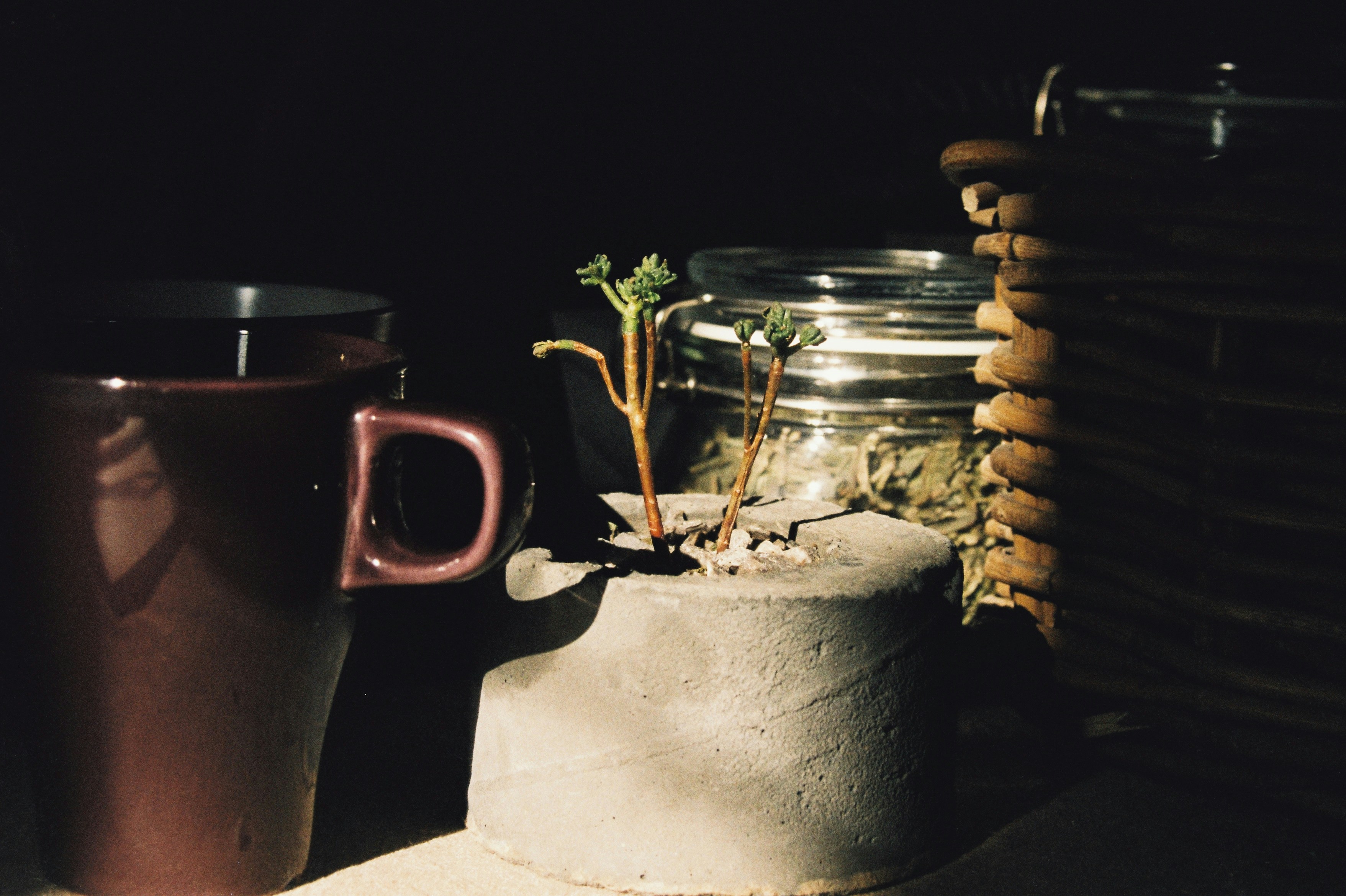 two mugs sitting next to each other on a table