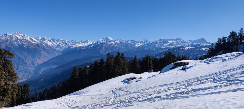 a person riding skis down a snow covered slope