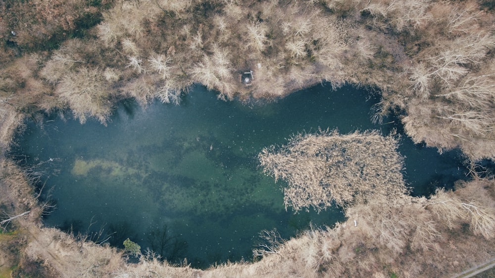 an aerial view of a lake surrounded by trees