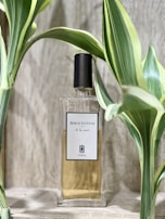 A clear glass perfume bottle with a black cap is placed between green variegated leaves. The label on the bottle reads 'Serge Lutens A la nuit'. The background is a textured, light wood surface.