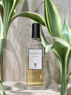 A clear glass perfume bottle with a black cap is placed between green variegated leaves. The label on the bottle reads 'Serge Lutens A la nuit'. The background is a textured, light wood surface.
