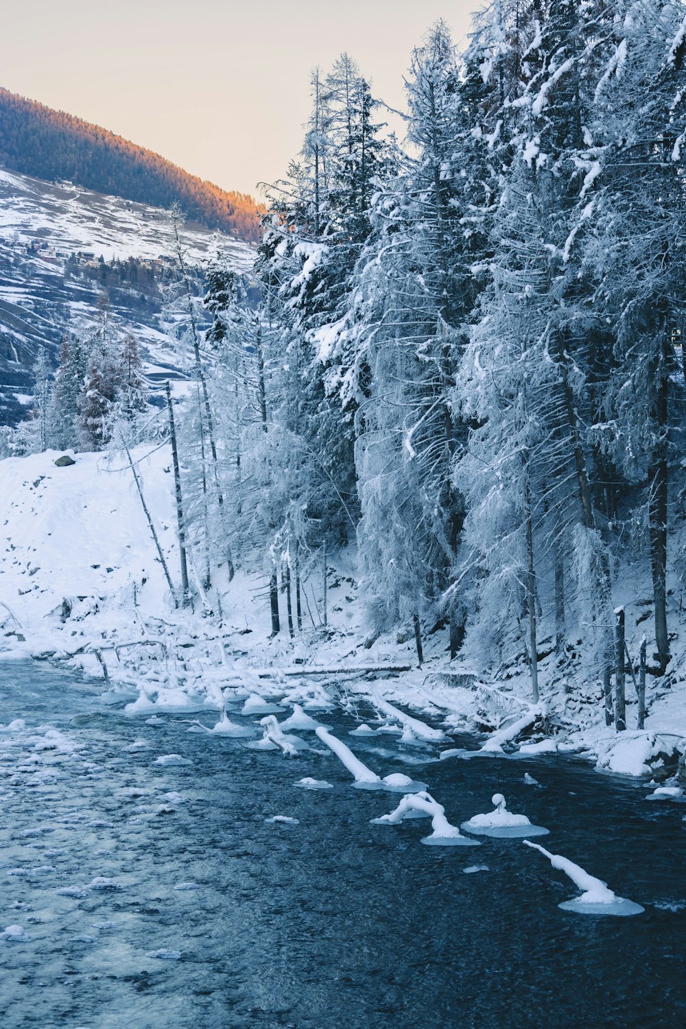 a river running through a snow covered forest