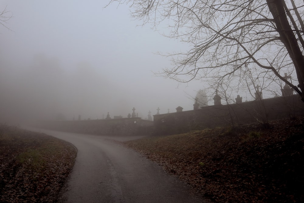 a foggy road in the middle of a forest