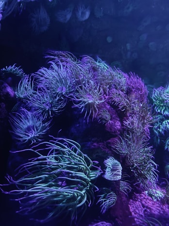 Thumbnail showing a whimsical underwater world ready for coloring.