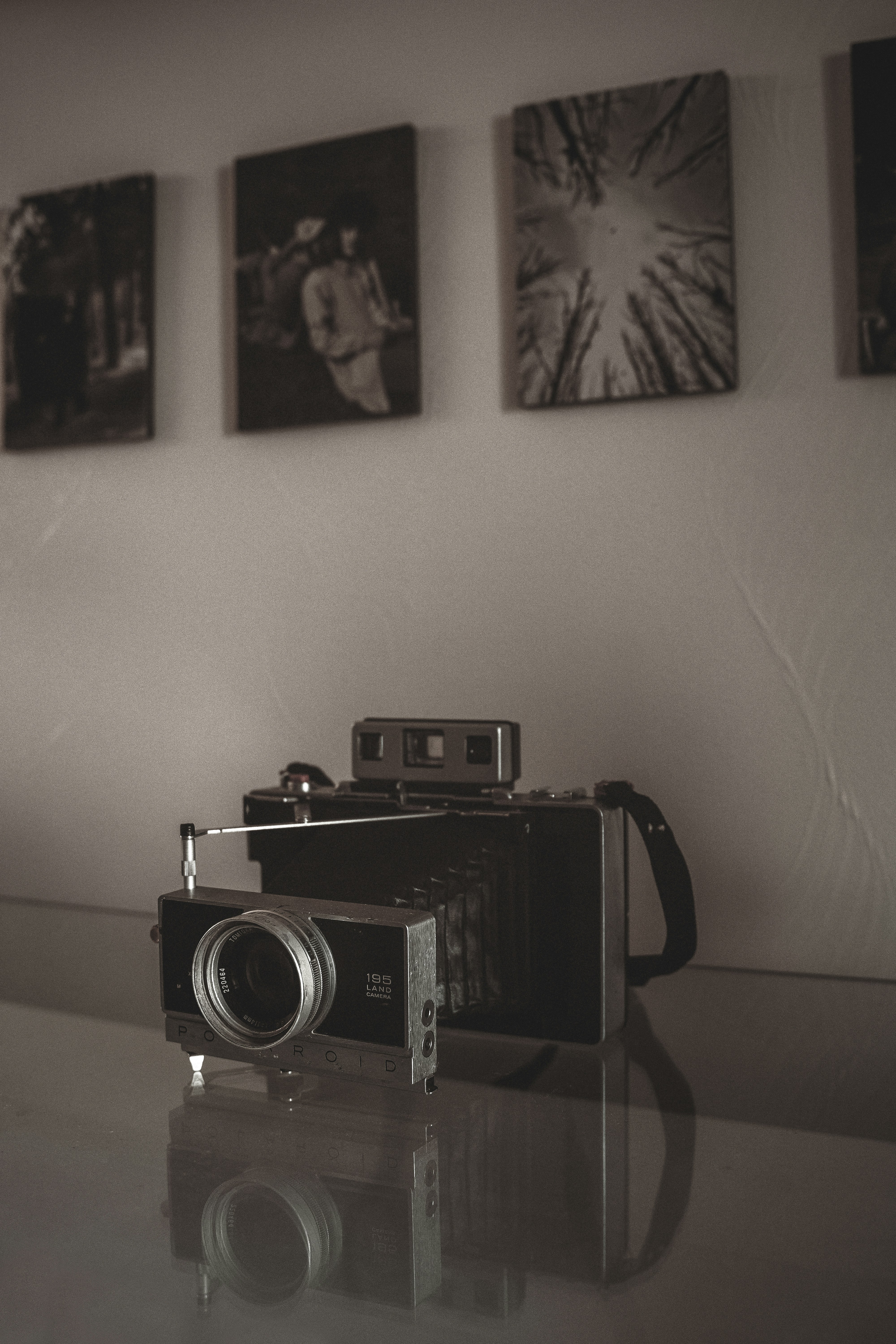 Photo by alikarimibn