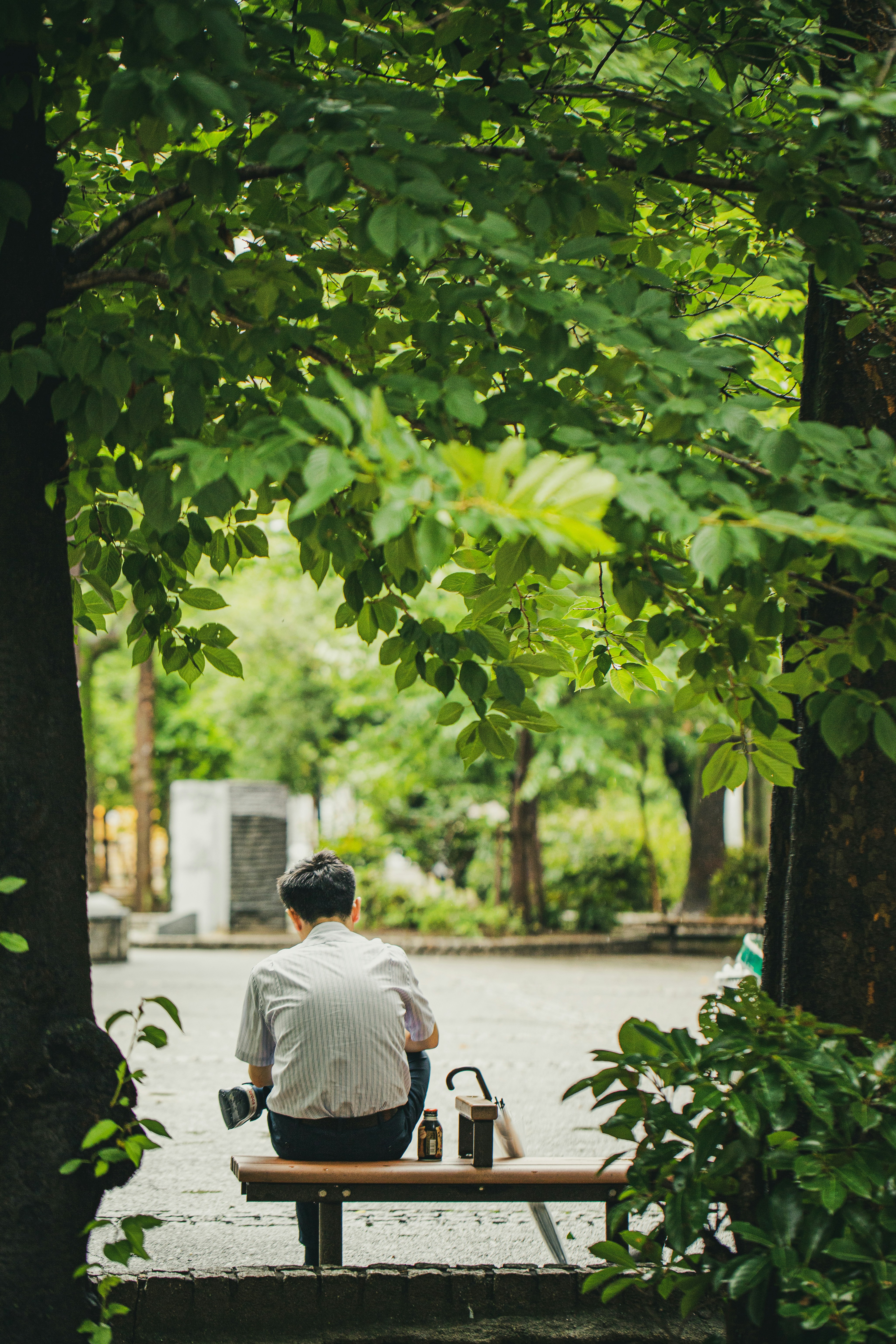 Photo by duongtrungthinh