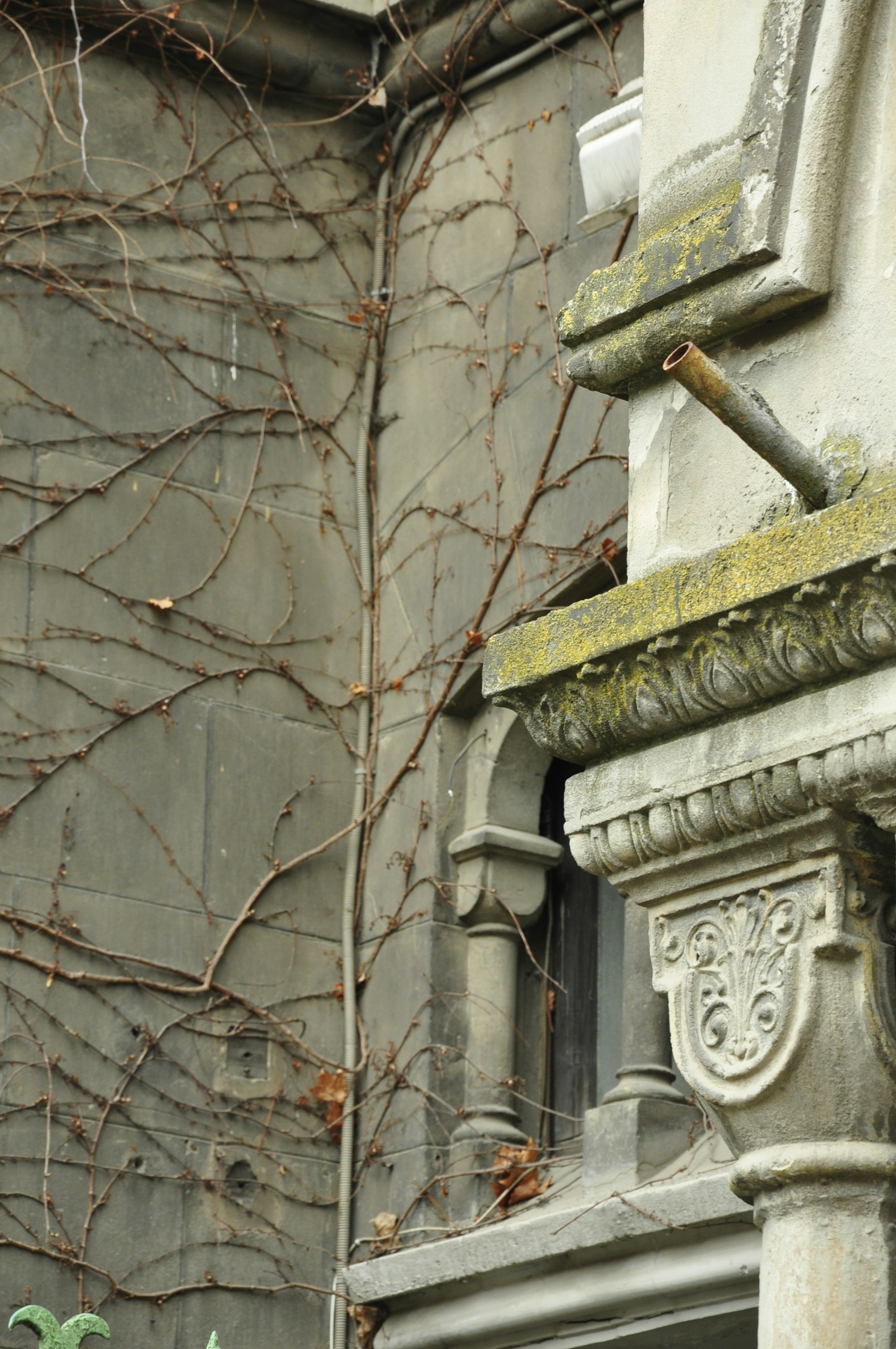 Photo by blackpumpkin