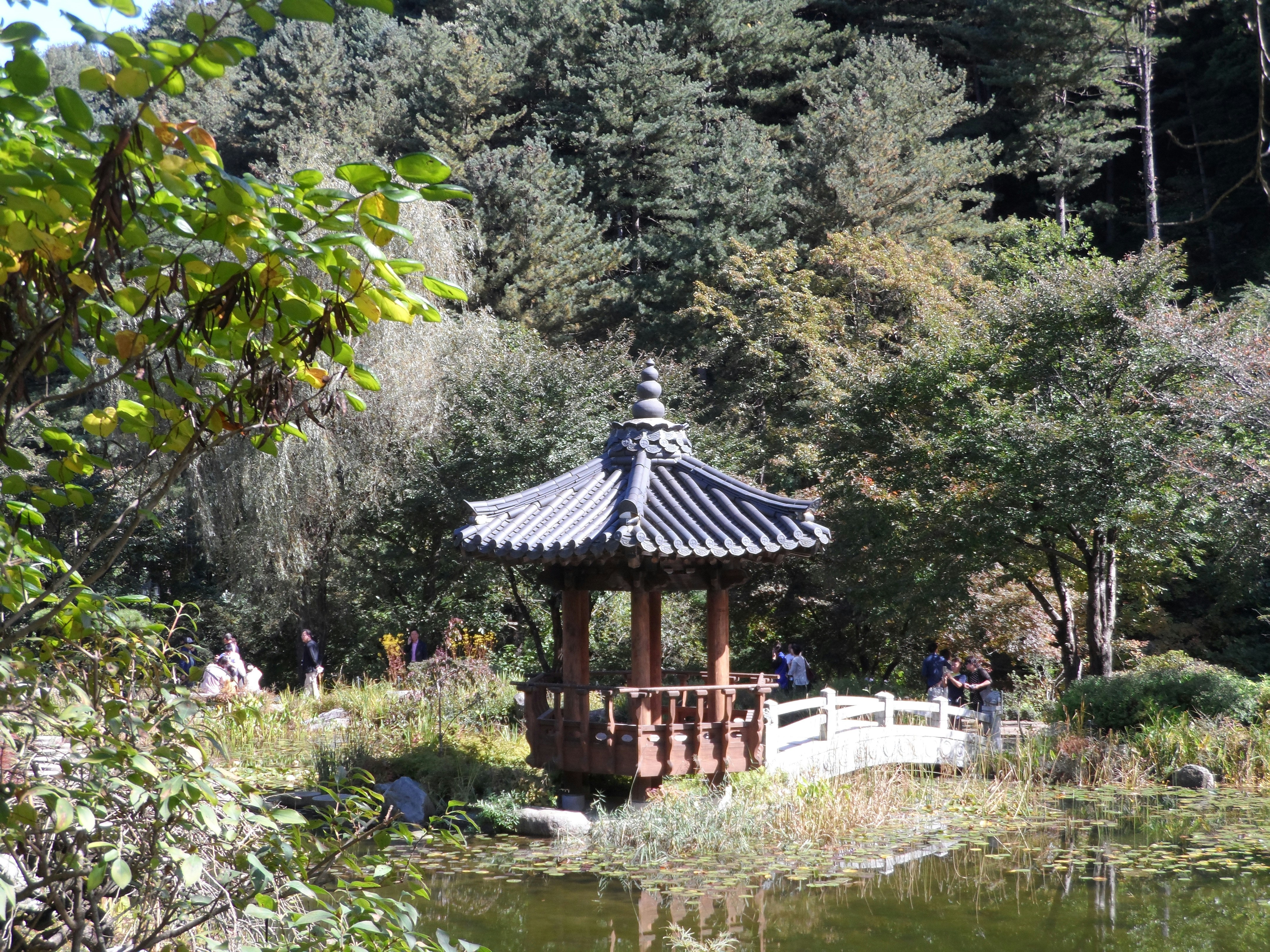 Photo by nocomeranimales