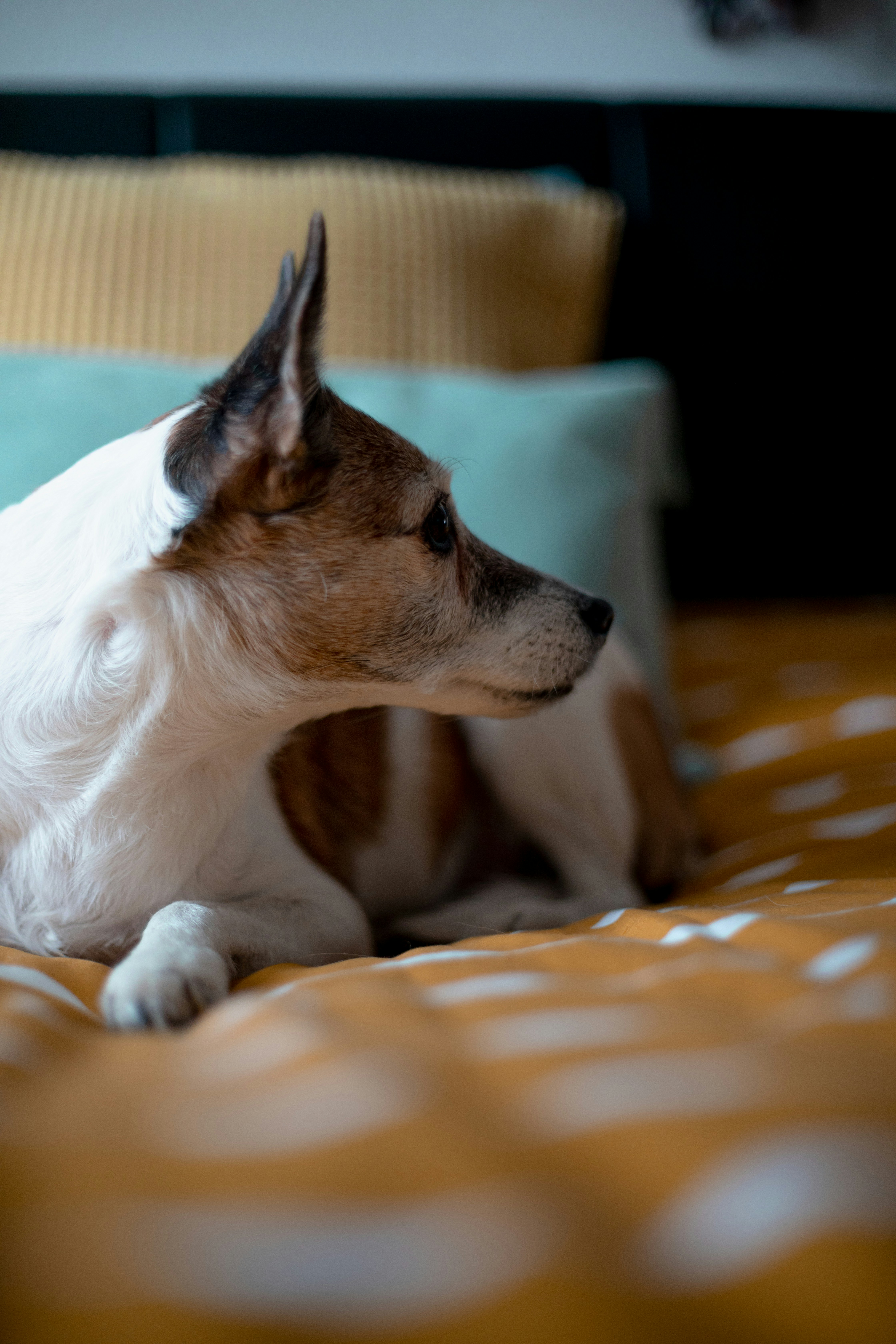 Photo by ryankphoto