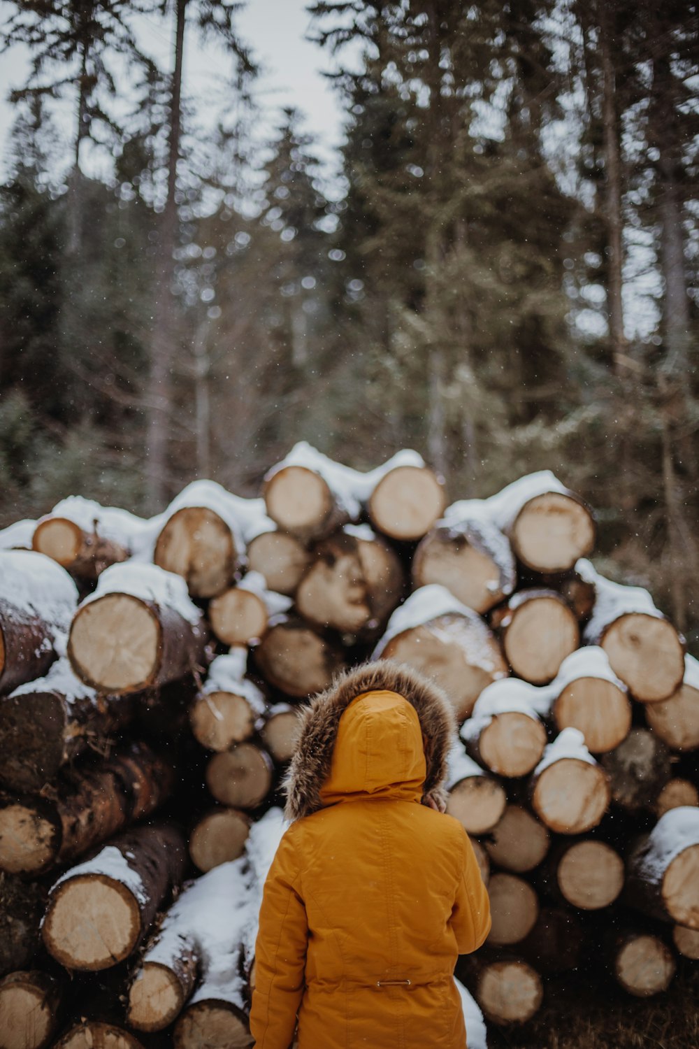 a little girl standing in front of a pile of logs