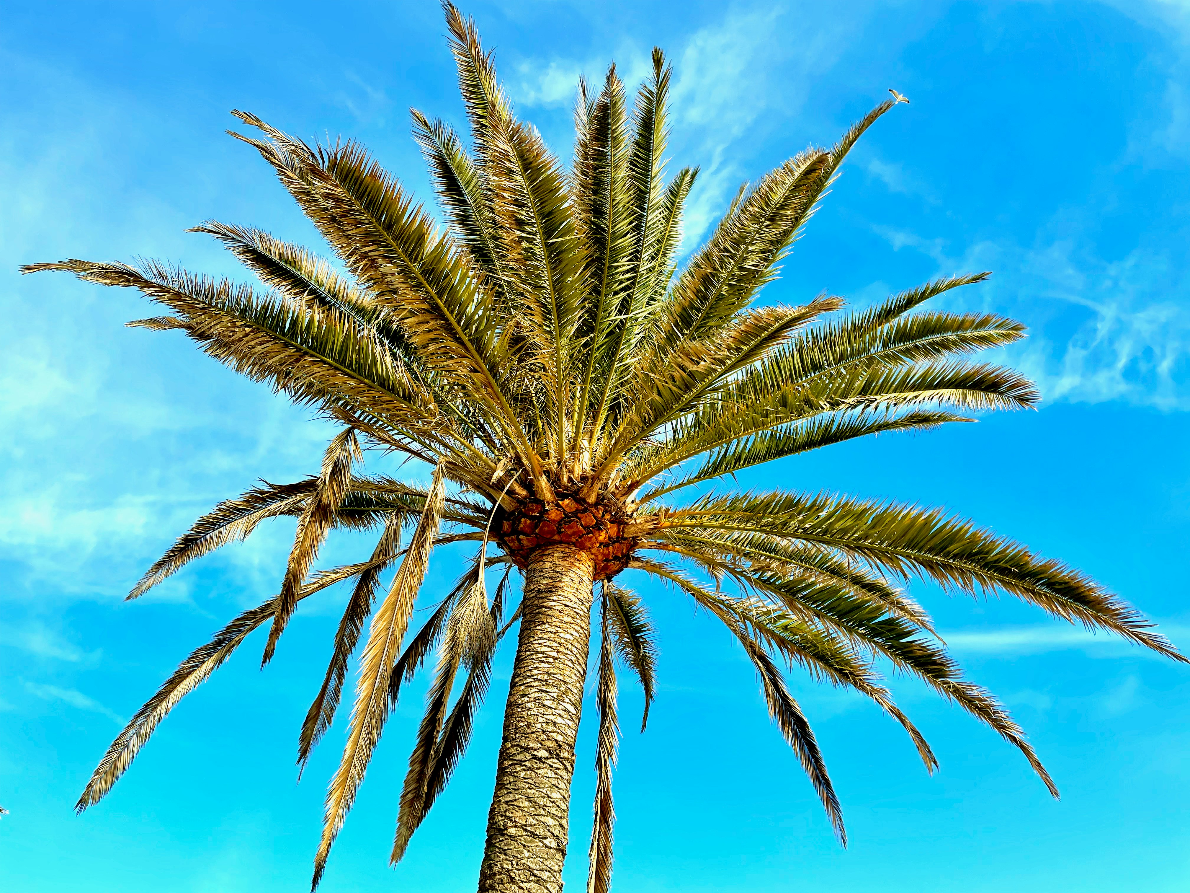 Photo by aaronrussell