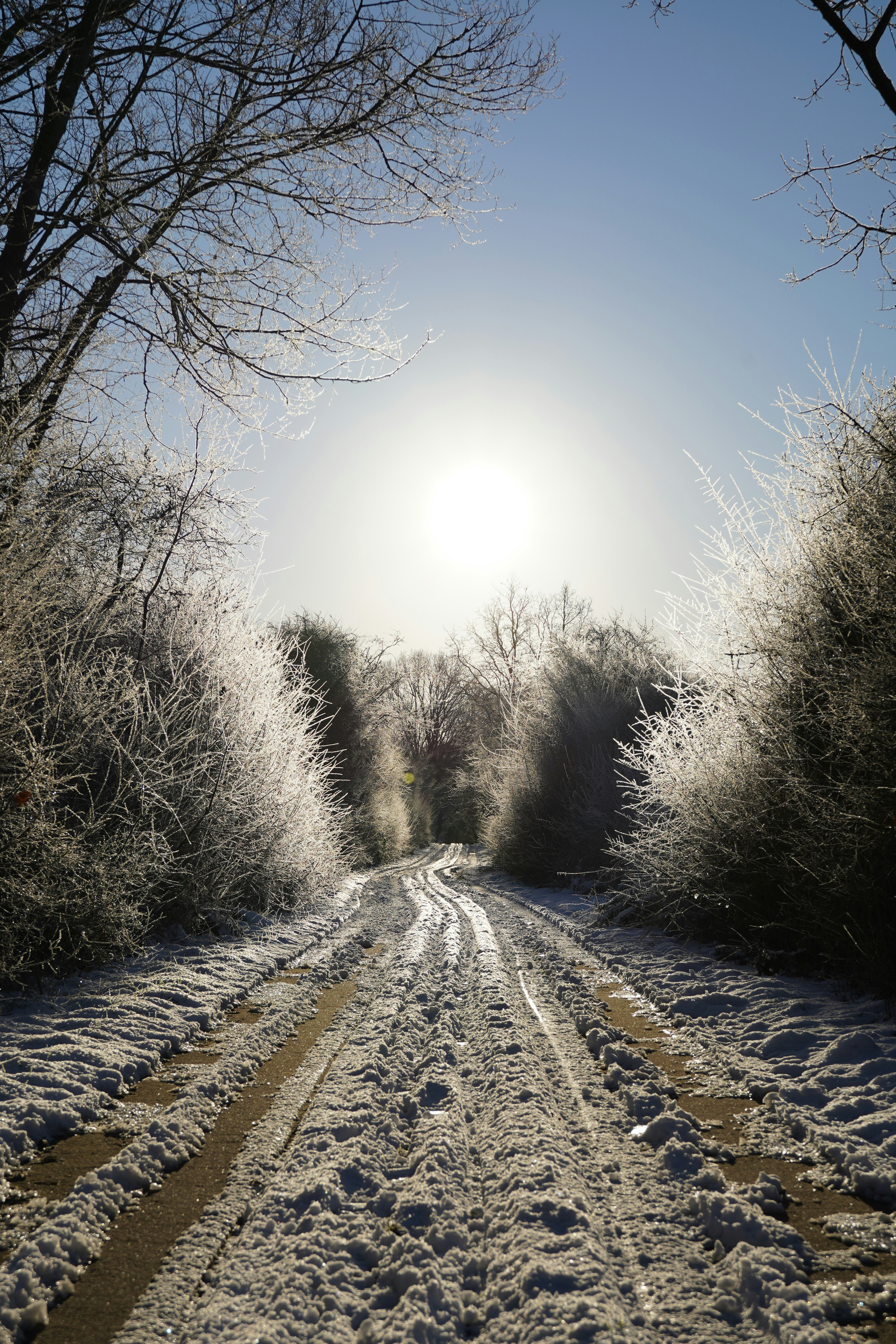 the sun is shining over a snowy road