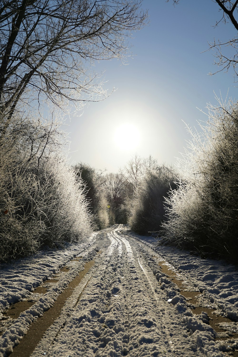 the sun is shining over a snowy road