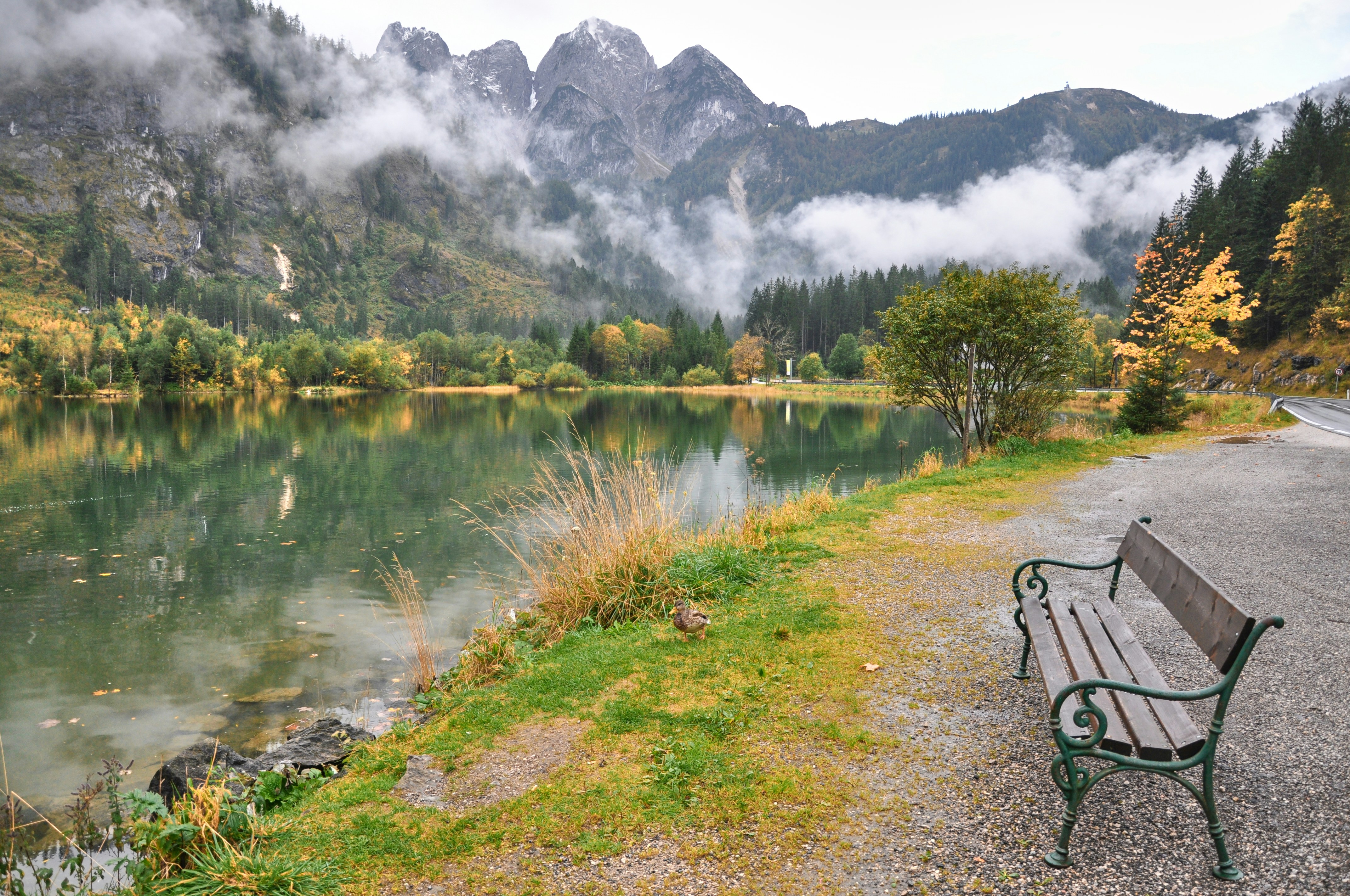 a bench sitting on the side of a road next to a lake