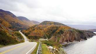 a scenic view of a road and a body of water