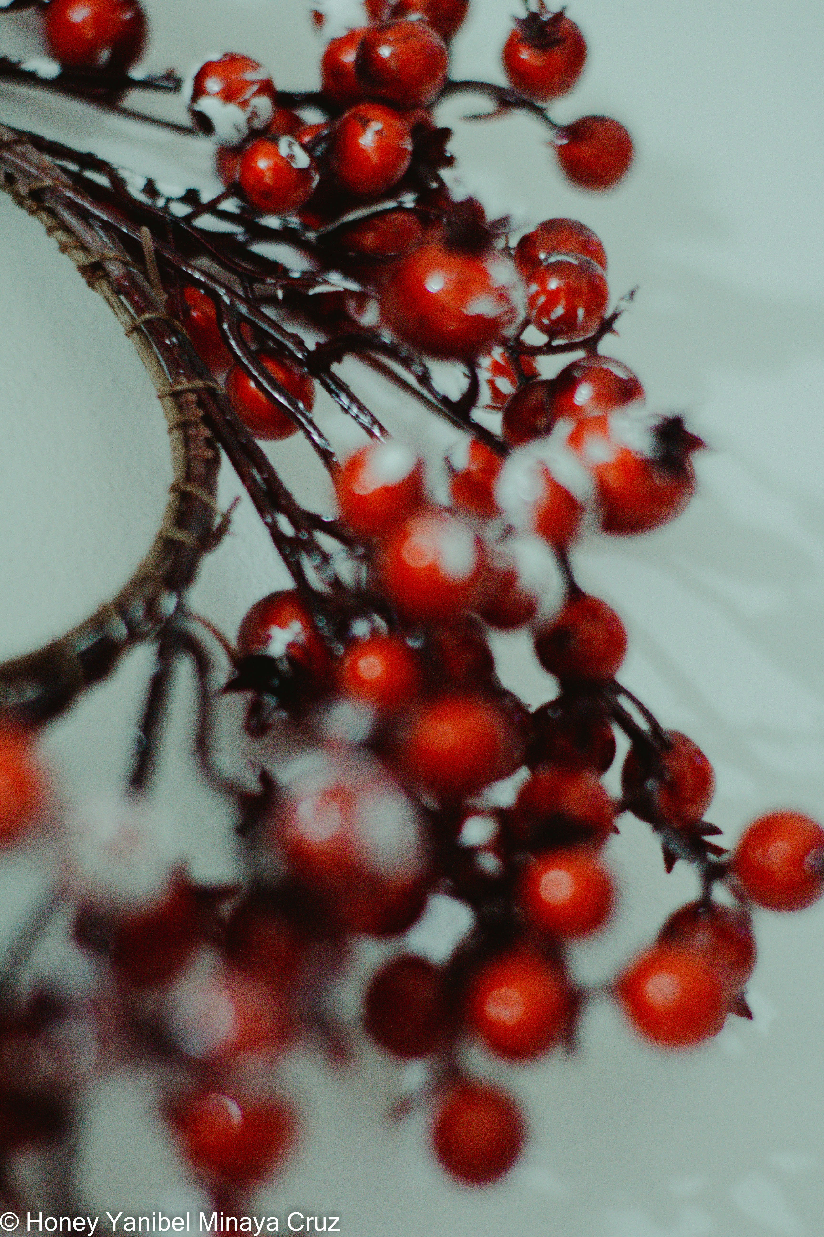 a close up of berries on a white plate