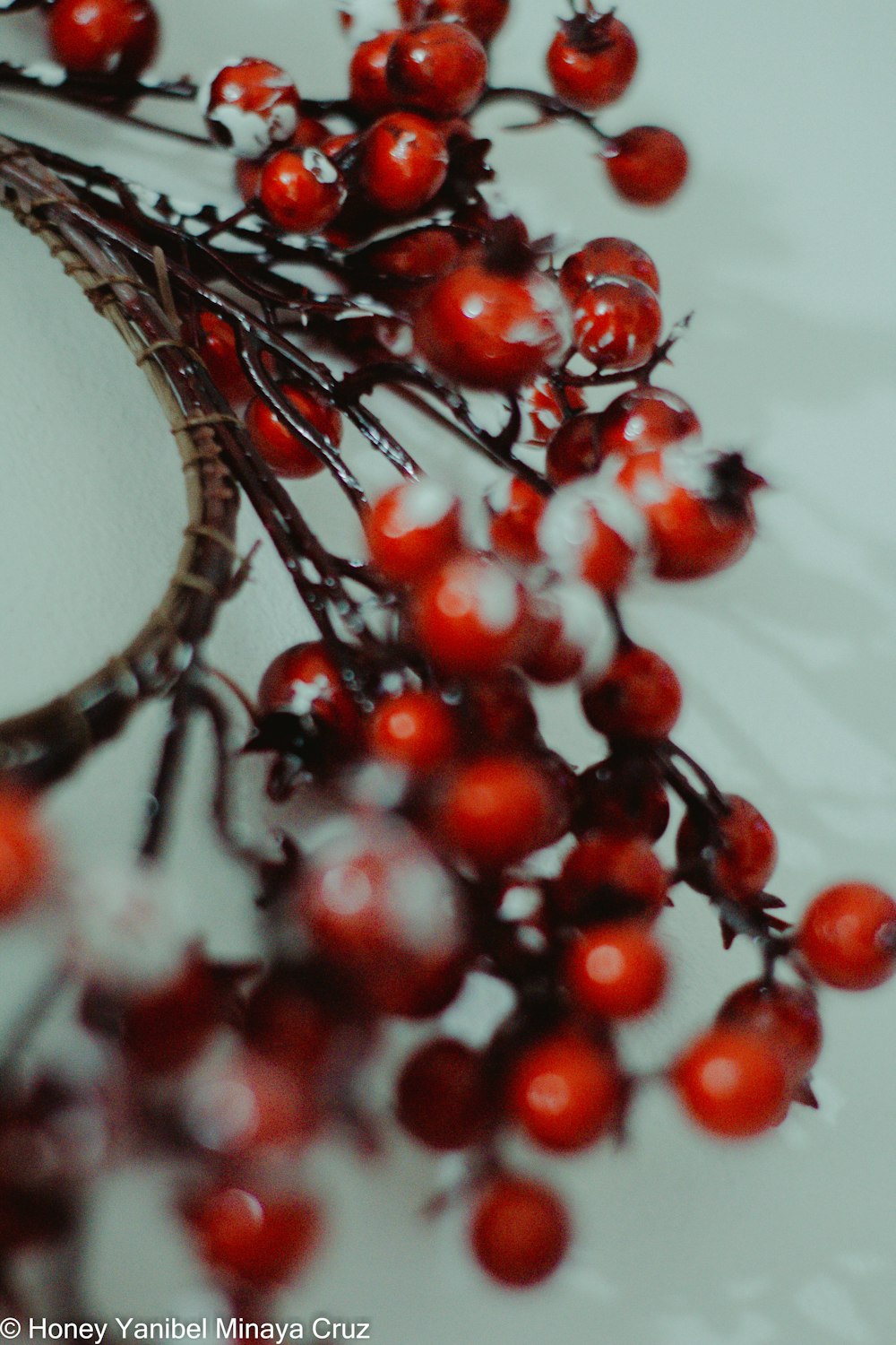 a close up of berries on a white plate