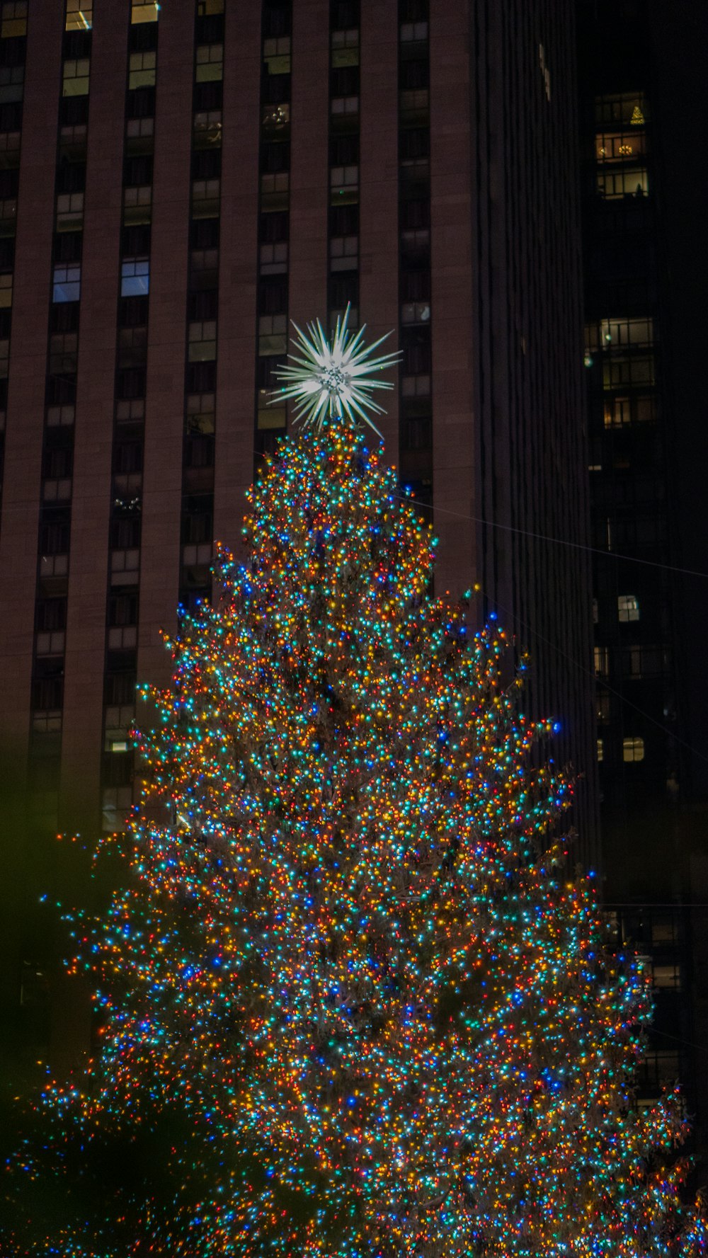 a large christmas tree in front of a tall building